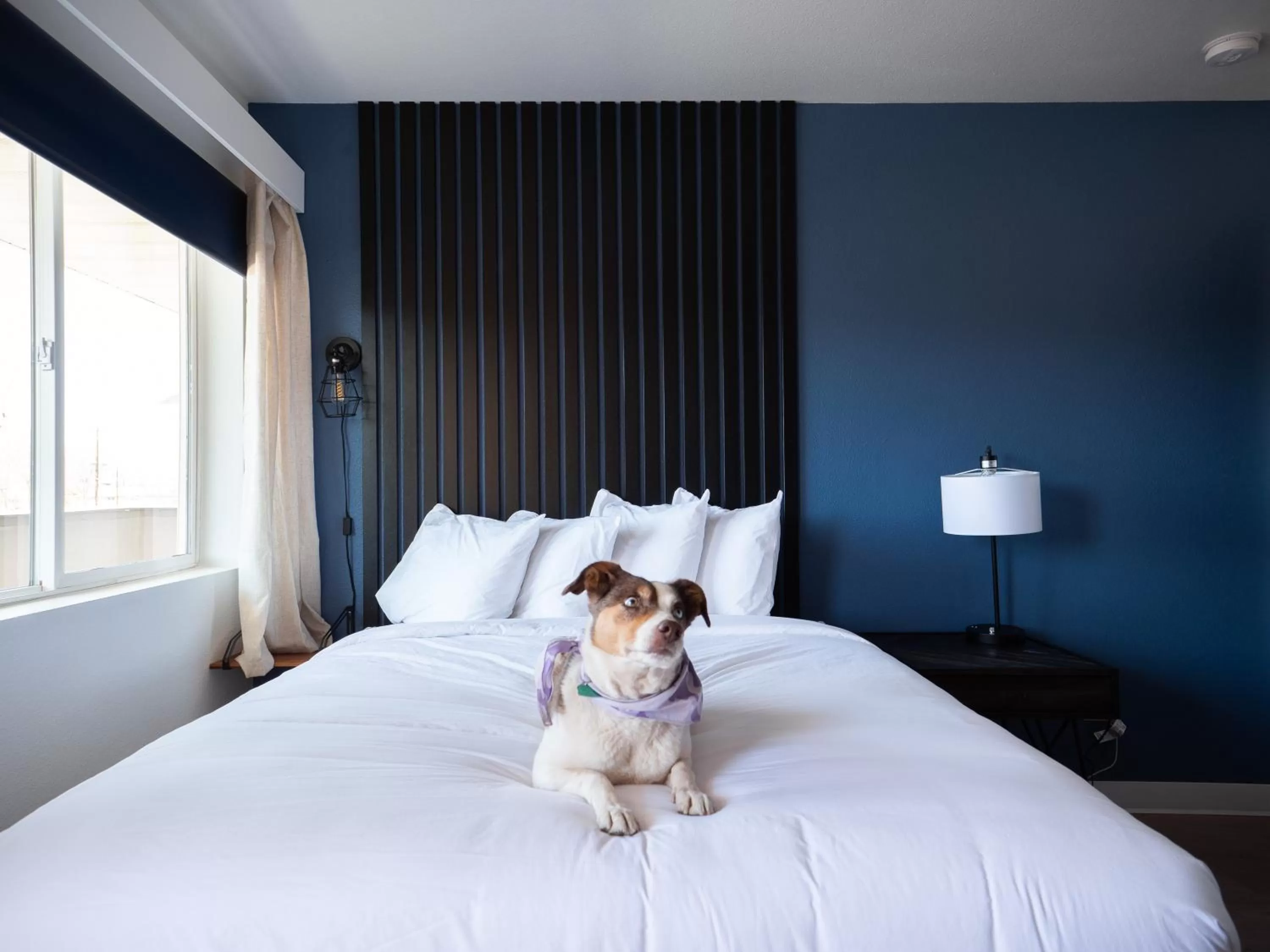 Bed in Balanced Rock Inn