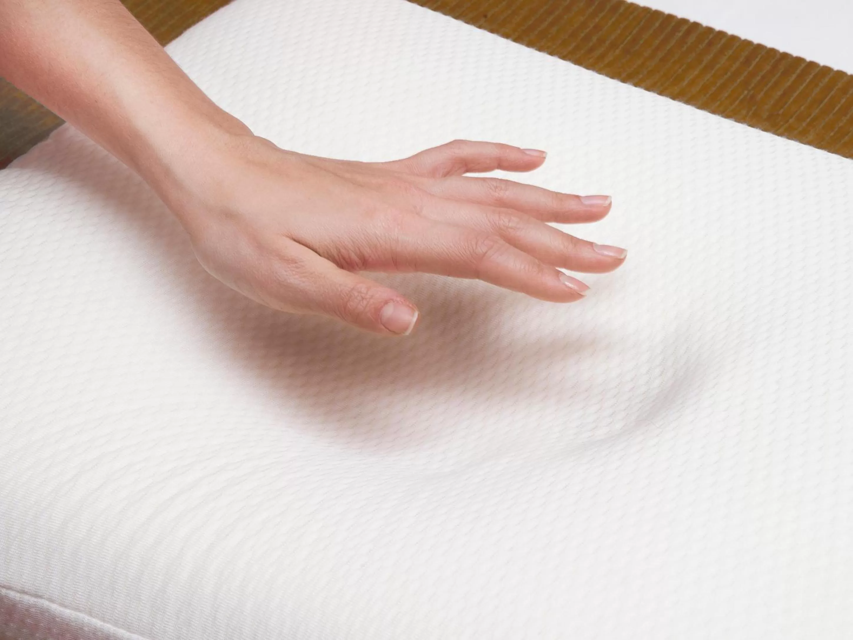 Area and facilities in Kyriad Angers Sud Ponts-De-Cé