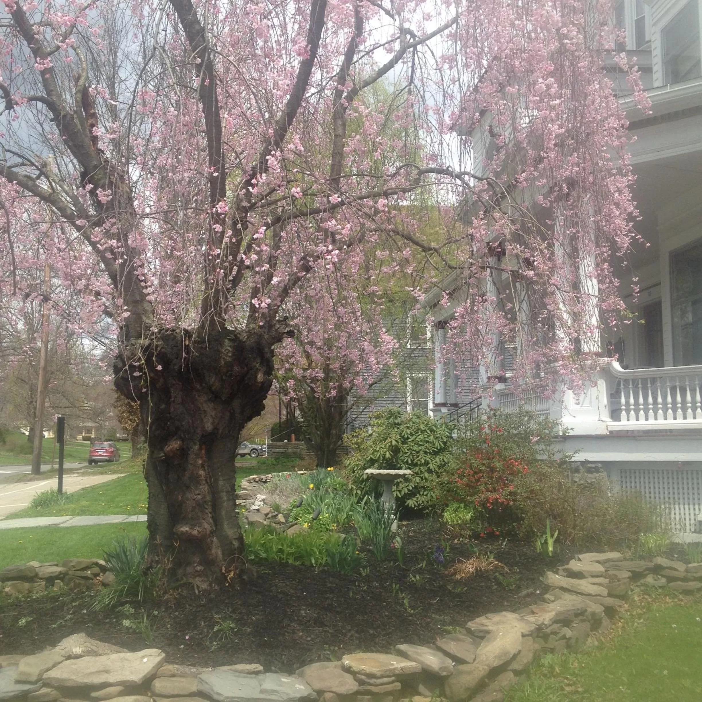 Property building in Victorian Charm Inn