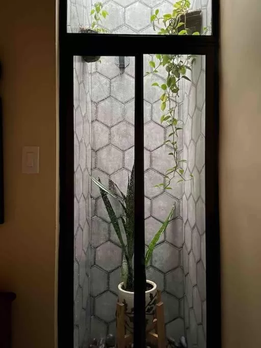 Garden, Bathroom in Airport SJO Residence - Edward & Familia Inn