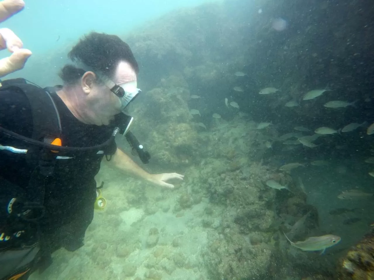 Snorkeling/Diving in Pousada e Restaurante Encanto das Águas