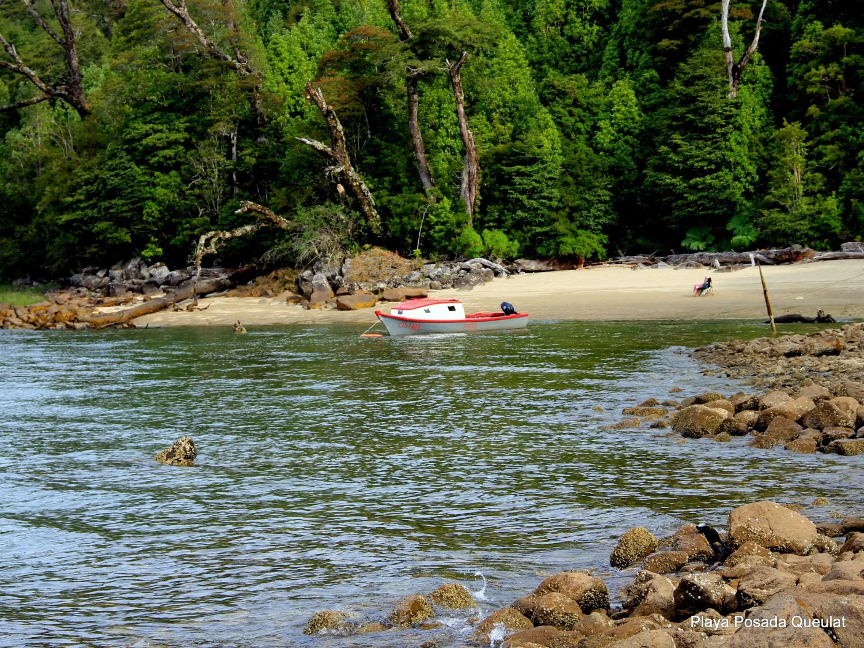 Other in Posada Queulat