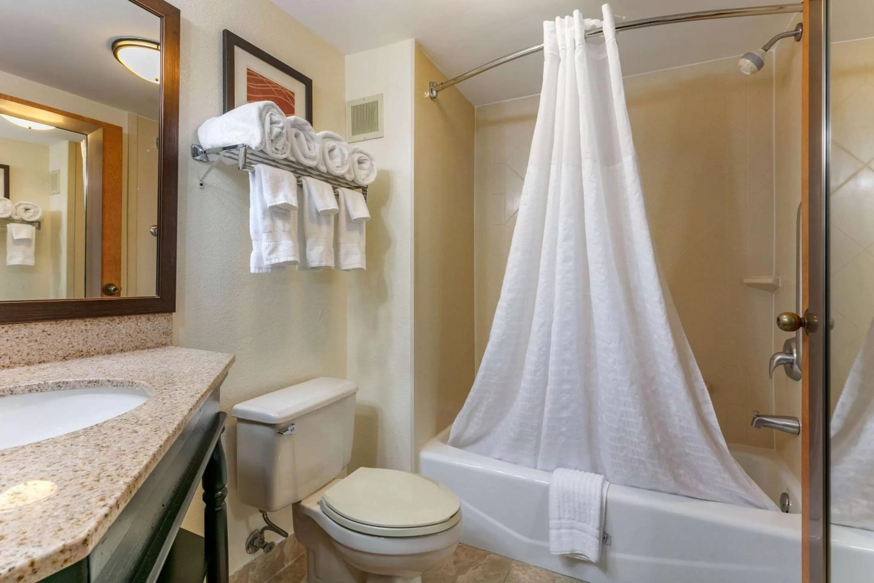 King Suite with Whirlpool - Non-Smoking in Comfort Inn Chattanooga Downtown Southside