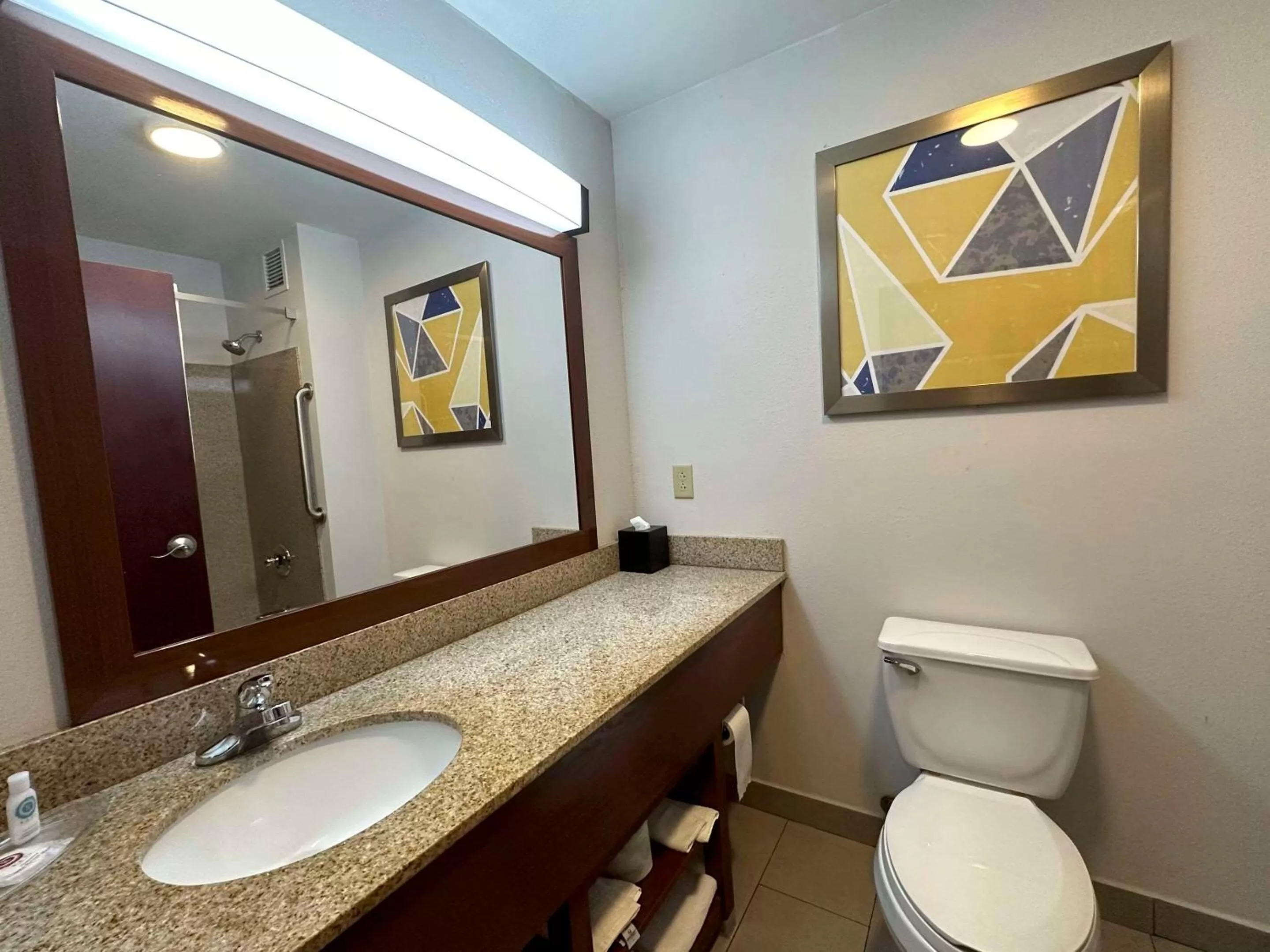 Bedroom in Comfort Suites Jackson-Cape Girardeau