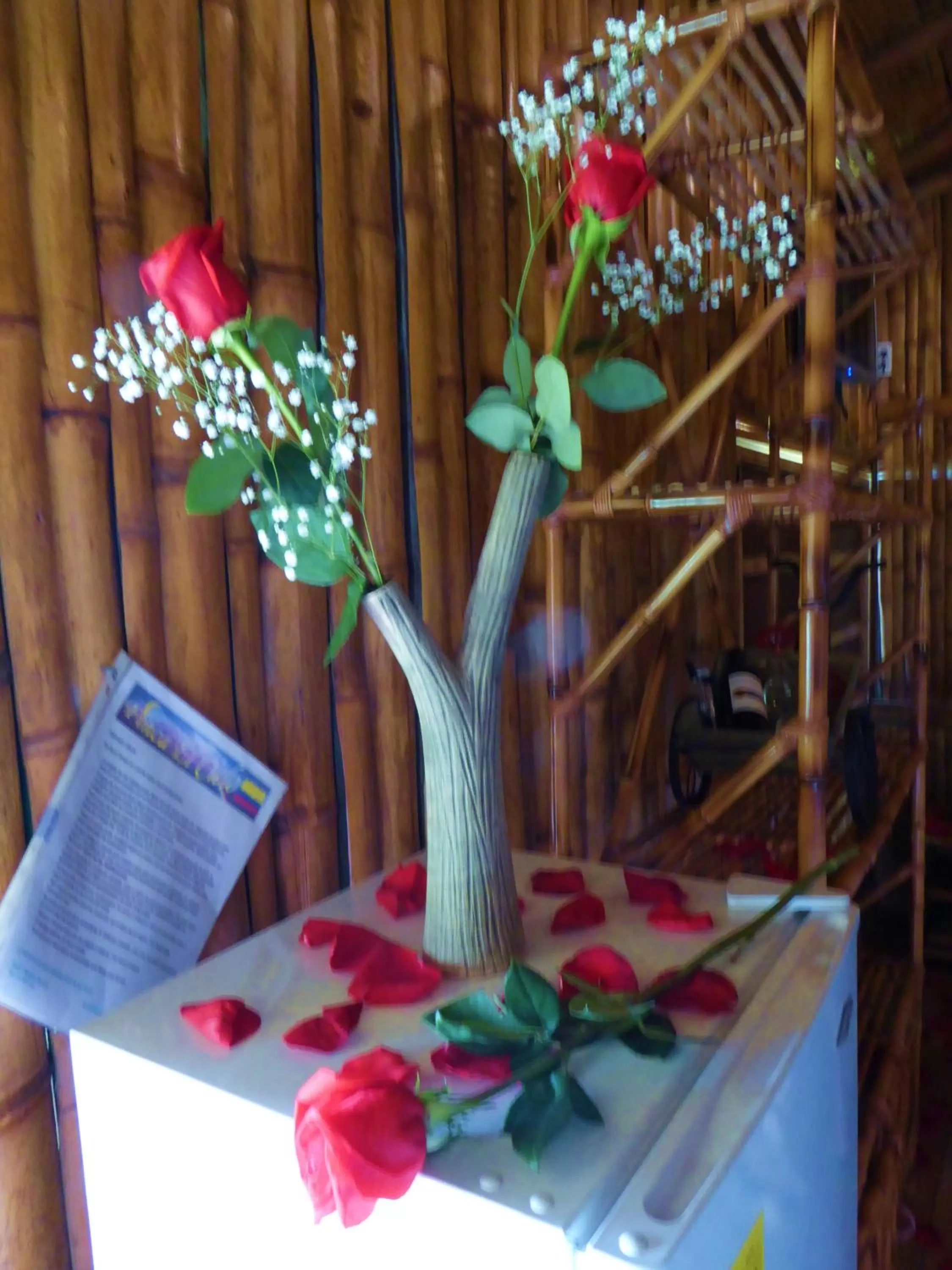 Other in Finca El Cielo