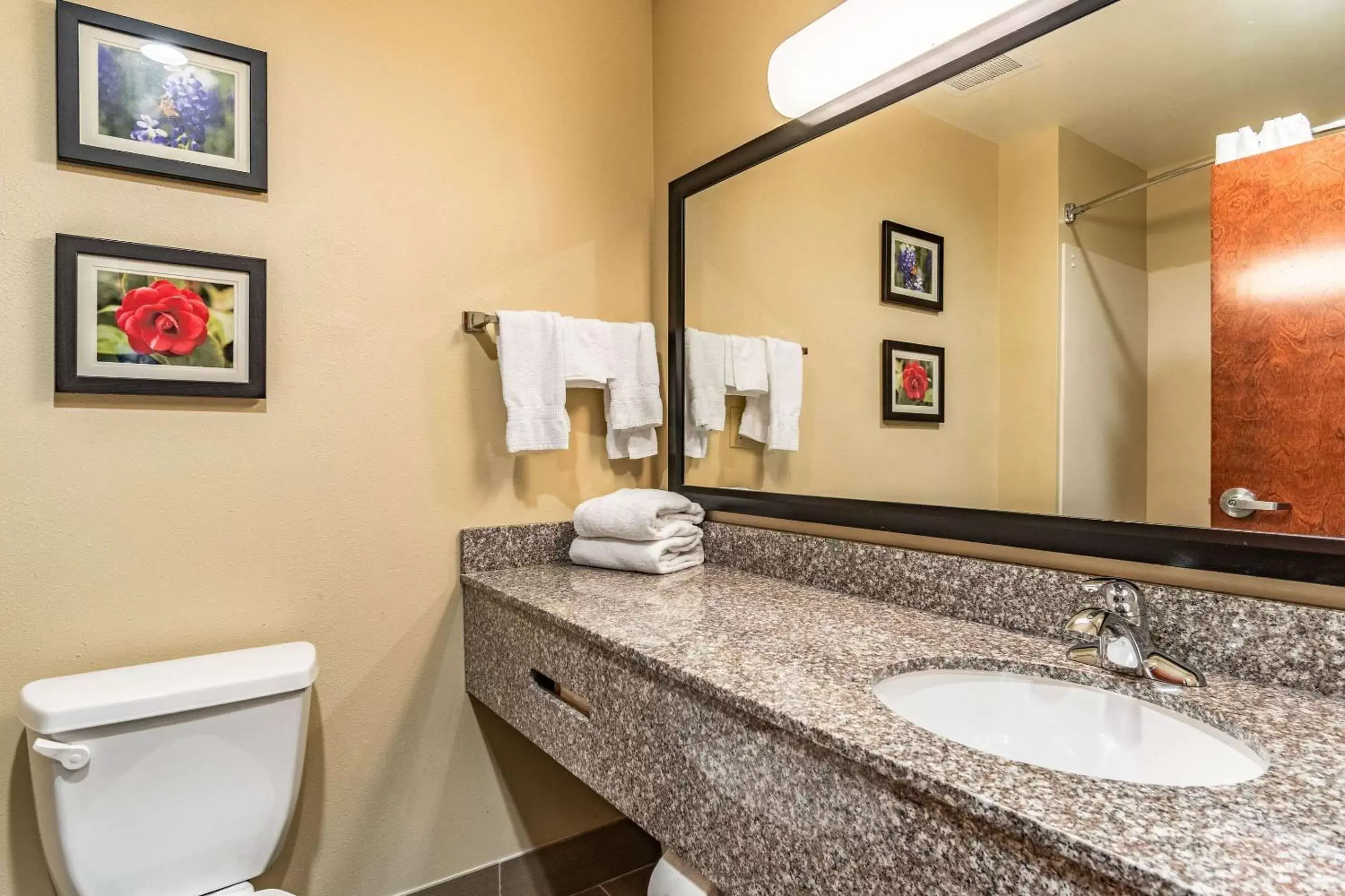 Comfort Inn & Suites Tuscumbia-Muscle Shoals Comfort Inn & Suites Tuscumbia-Muscle Shoals