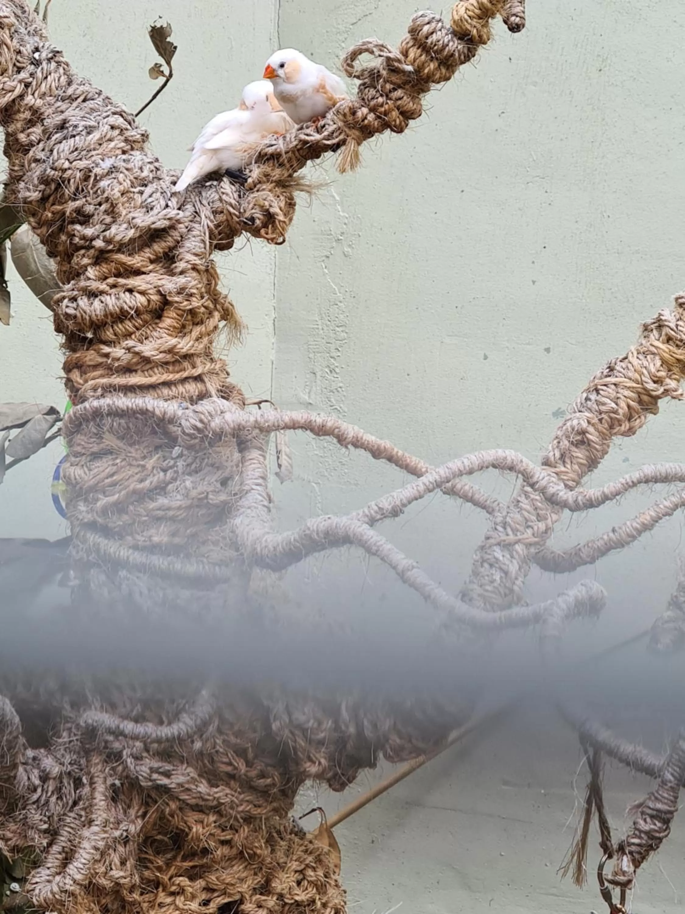 Natural landscape in Ria's B n B