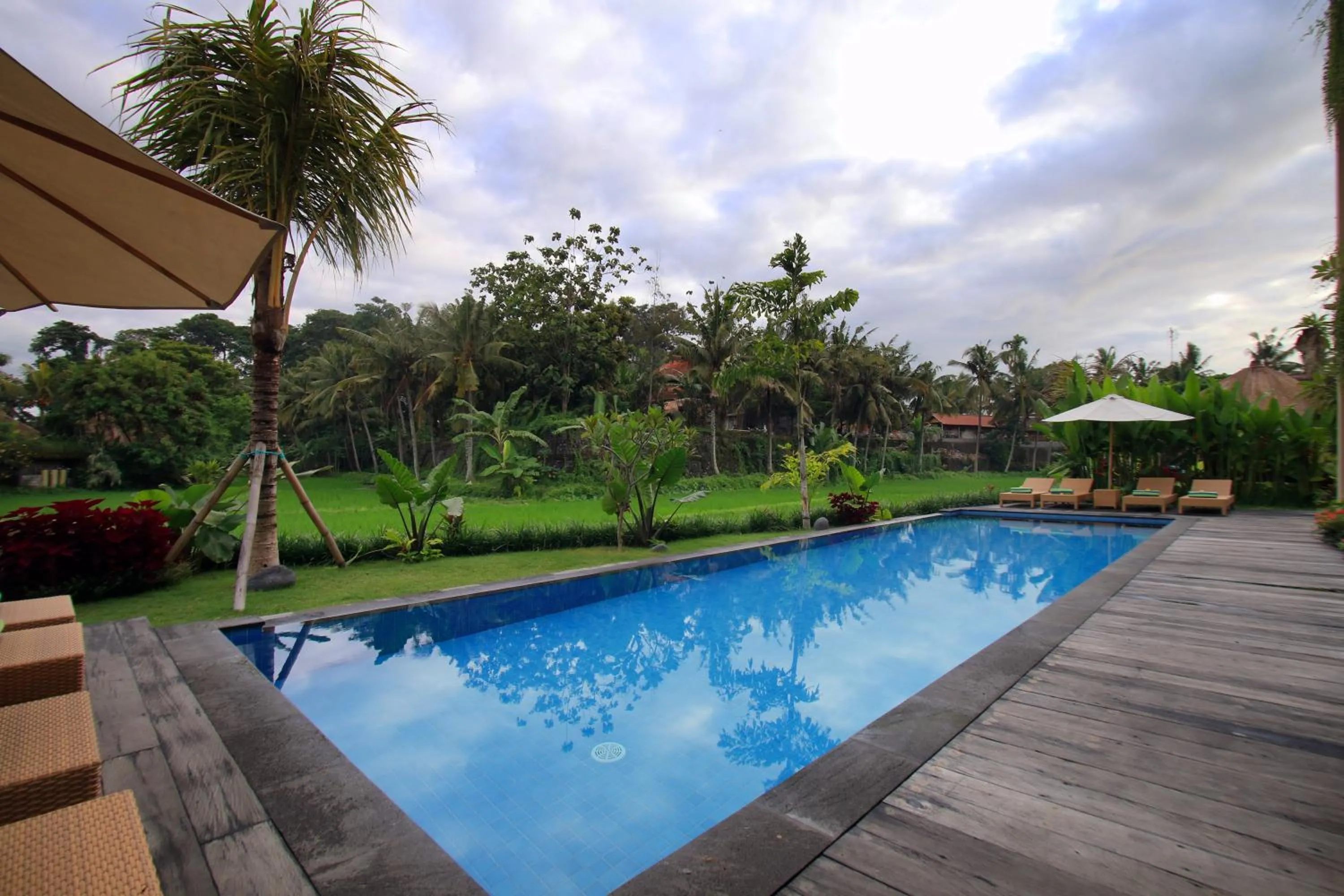 Swimming pool in Byasa Ubud