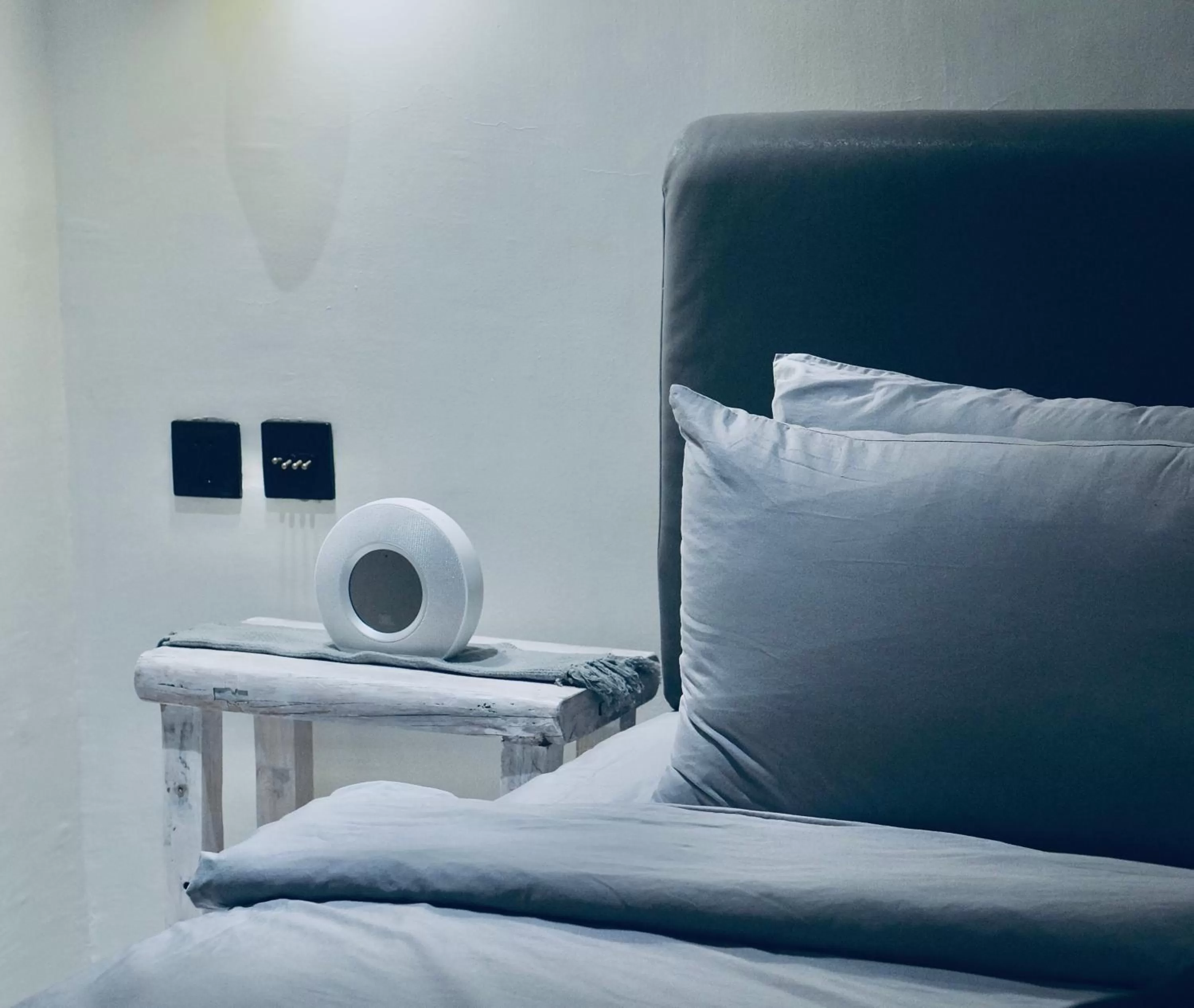 Living room, Bed in Sugarsea Inn & Dive shop