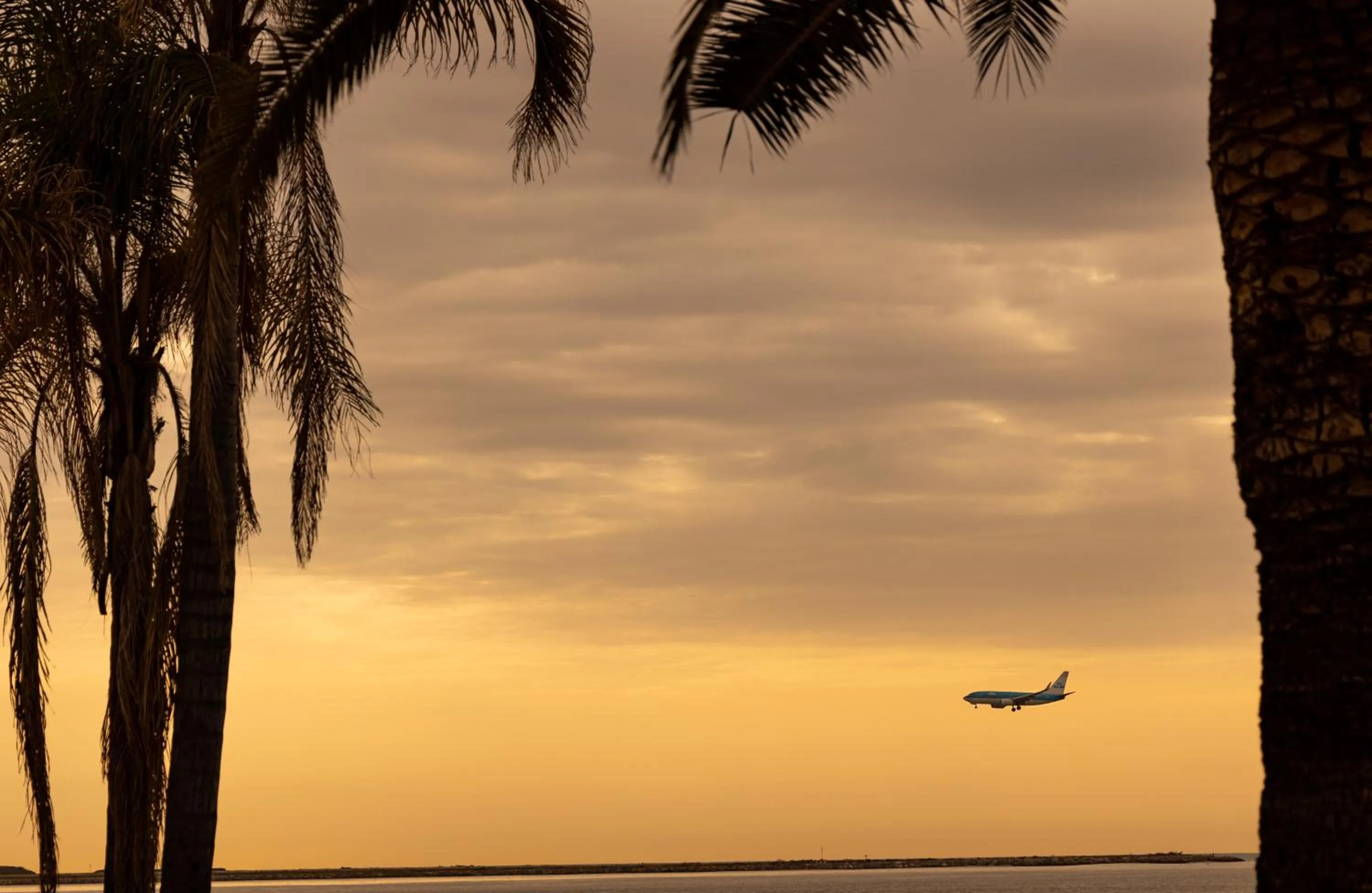 Natural landscape in The Originals City, Hôtel Galaxie, Nice Aéroport