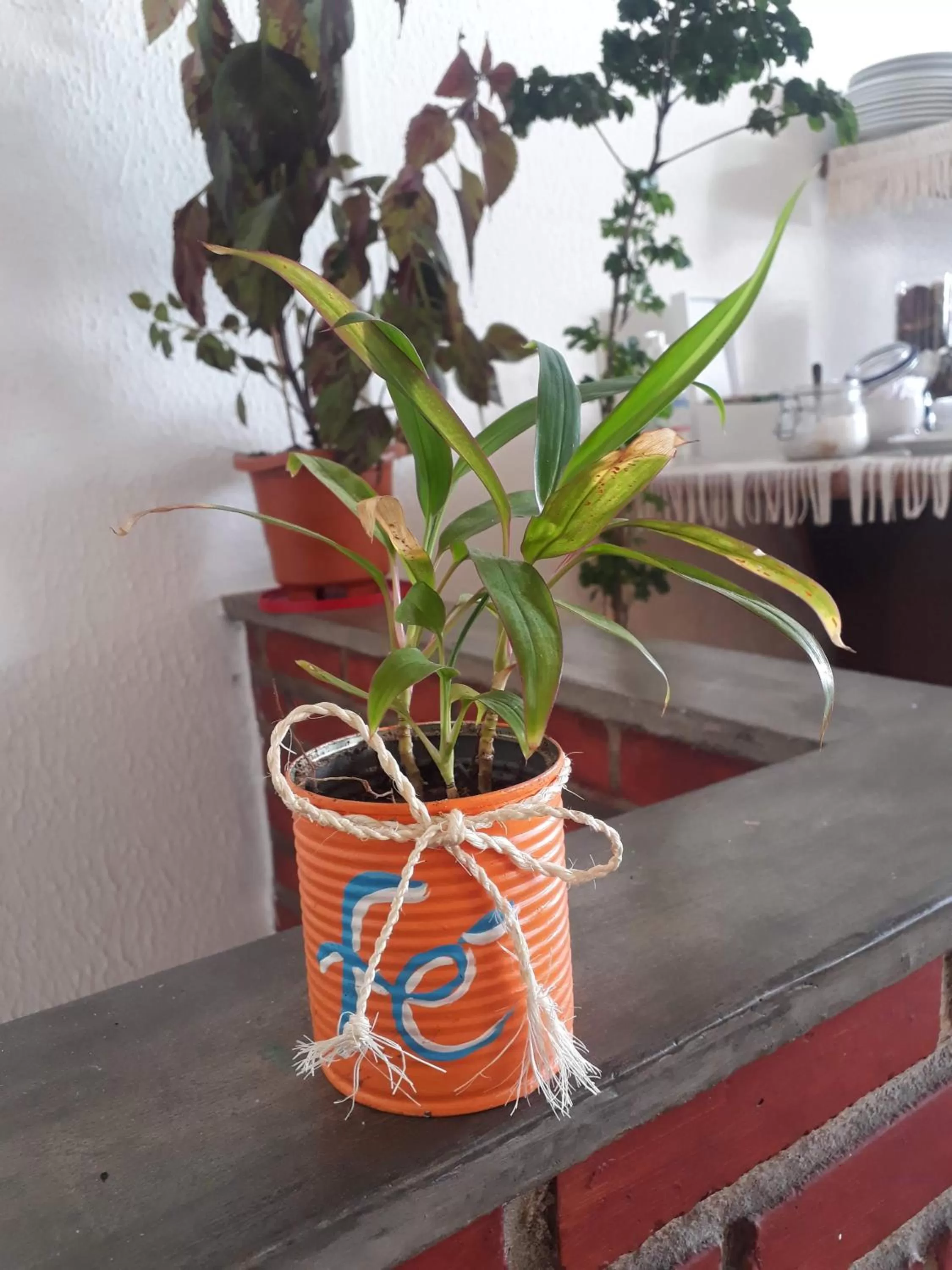 Area and facilities in Pousada America do Sol