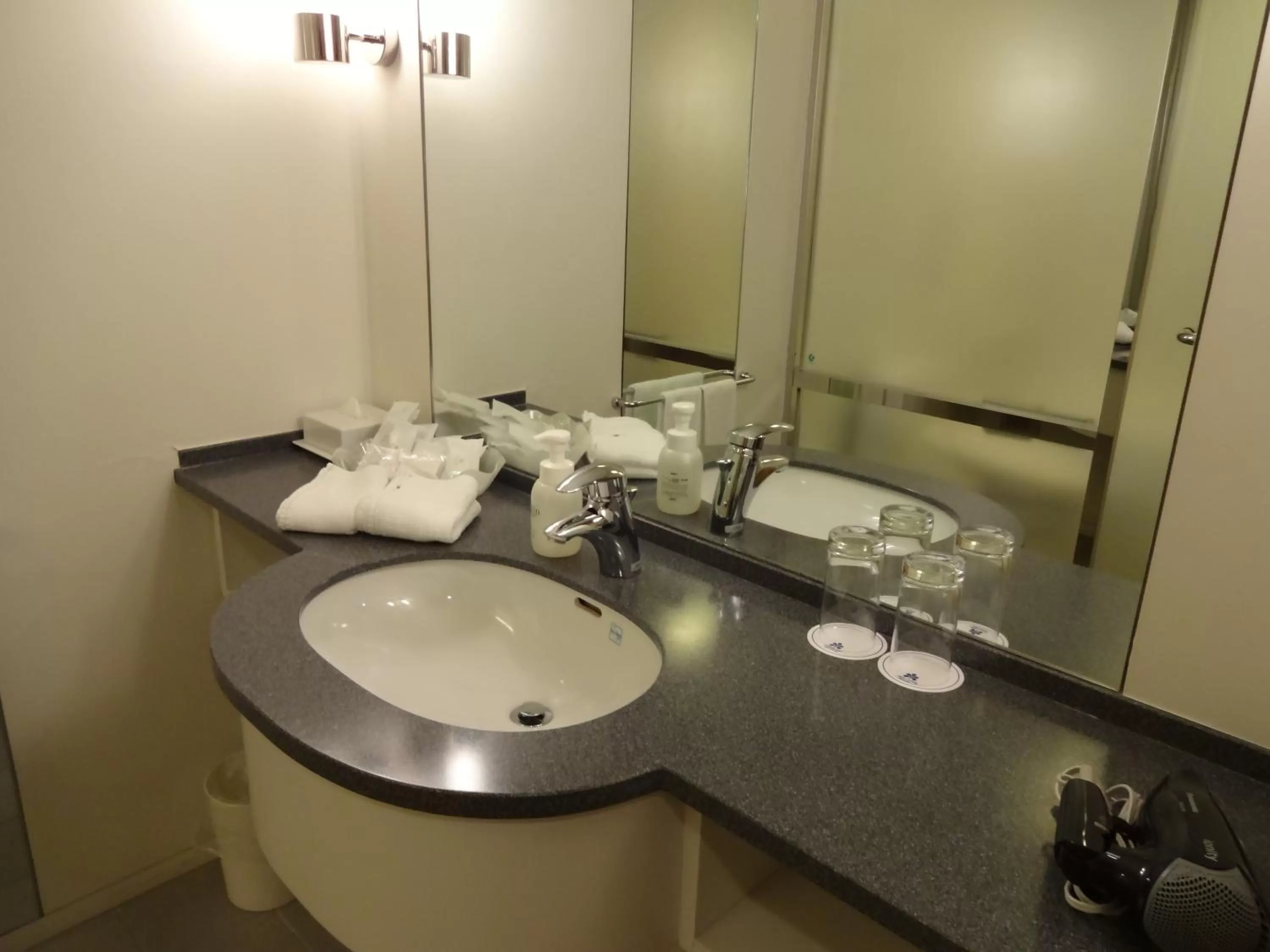 Bathroom in Hotel Nikko Niigata