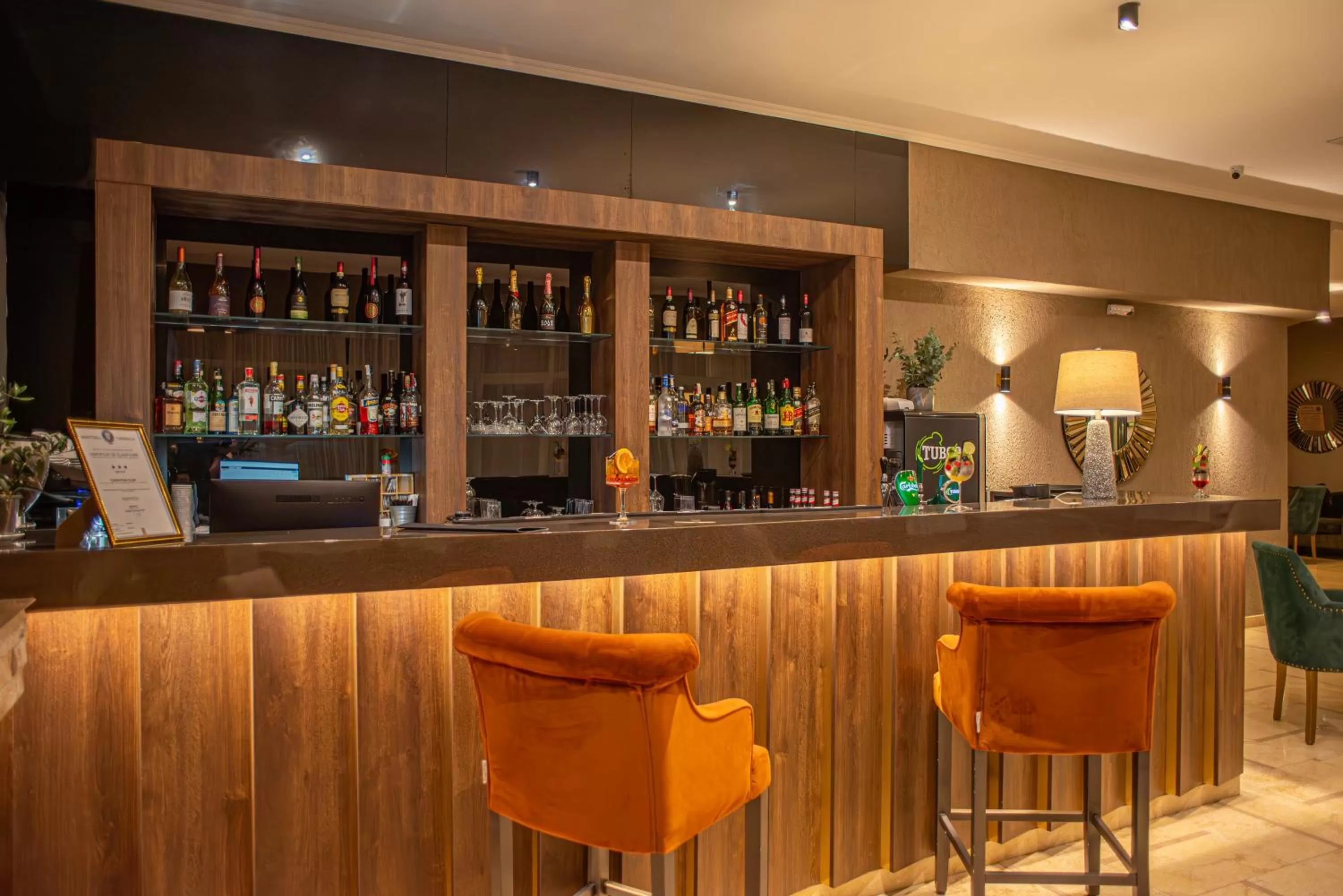 Lounge or bar in Hotel Carpathia
