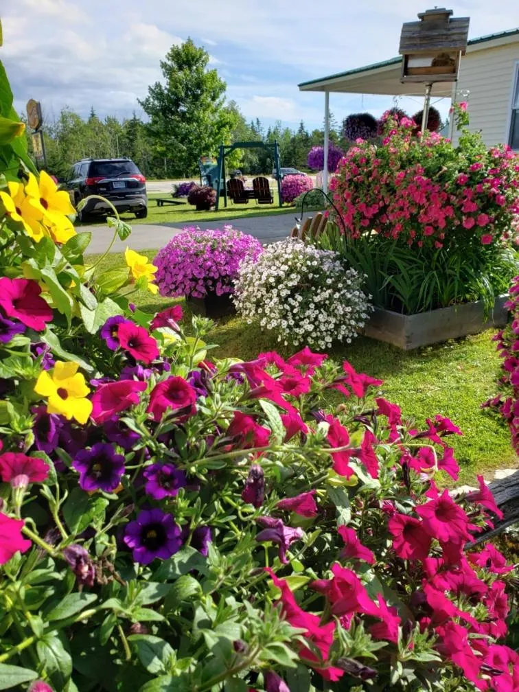 Sunset Motel at Armand's Gardens