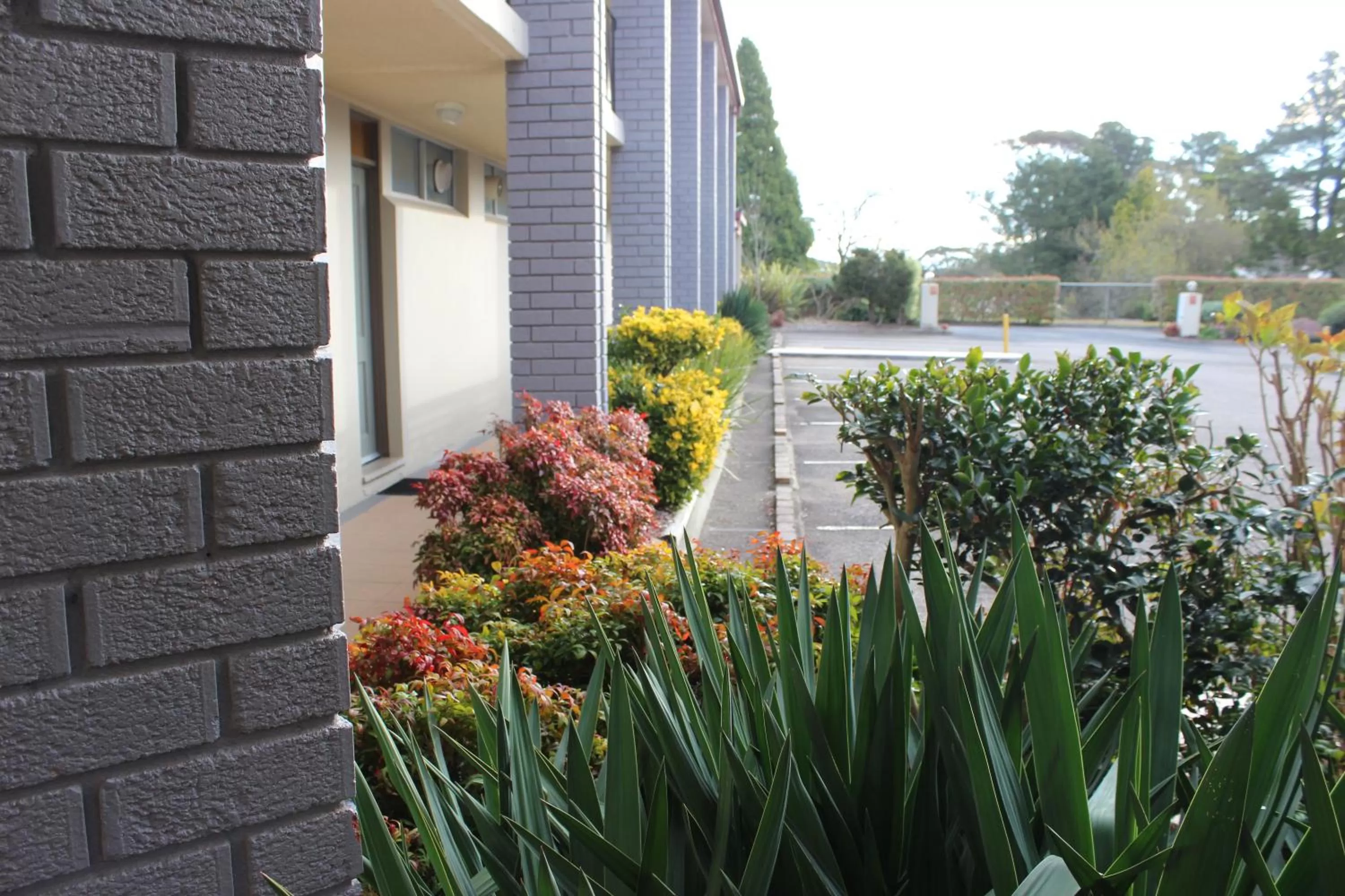 Other in Alpine Motor Inn