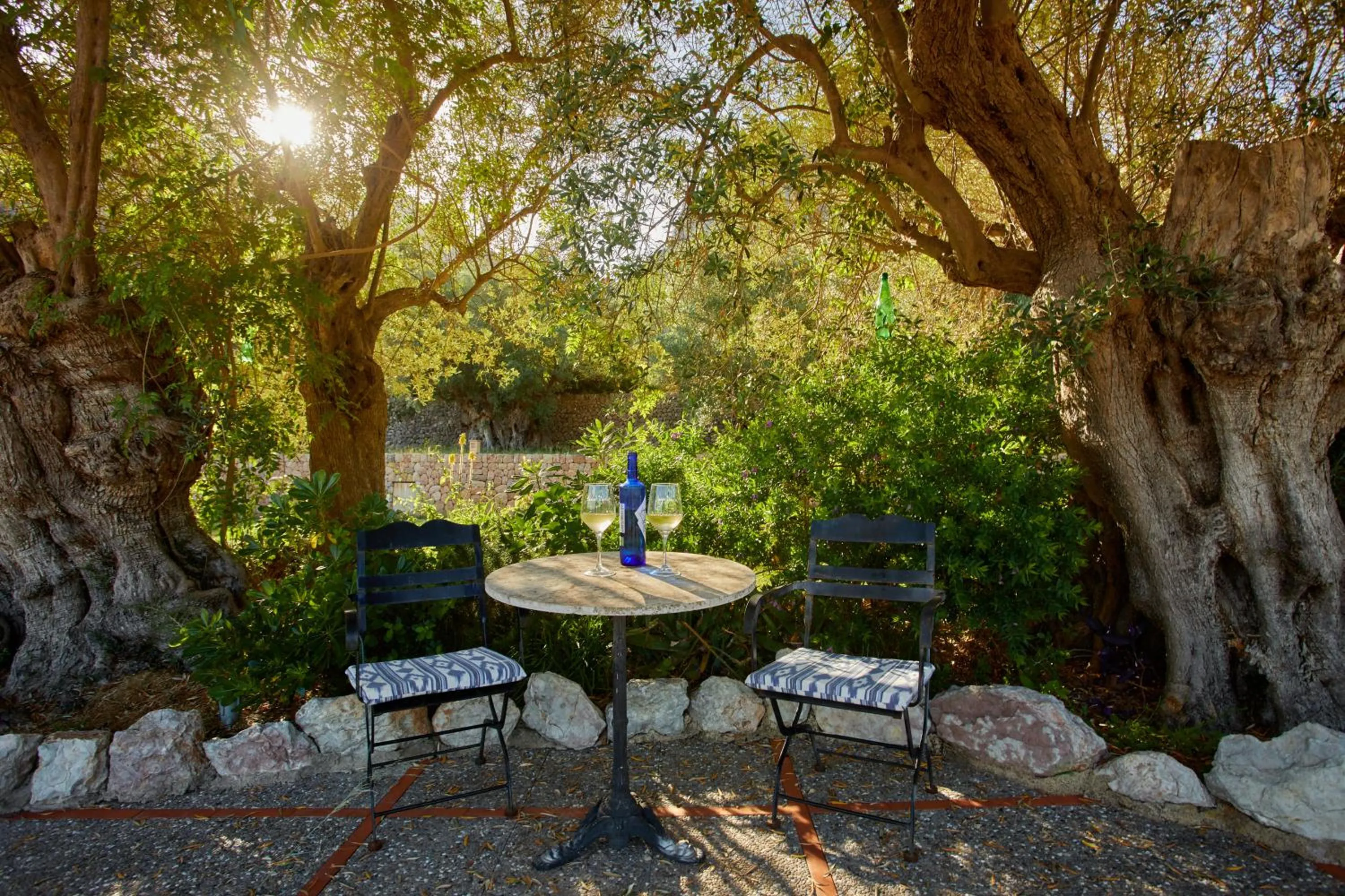 Garden in Agroturismo Alquería Blanca