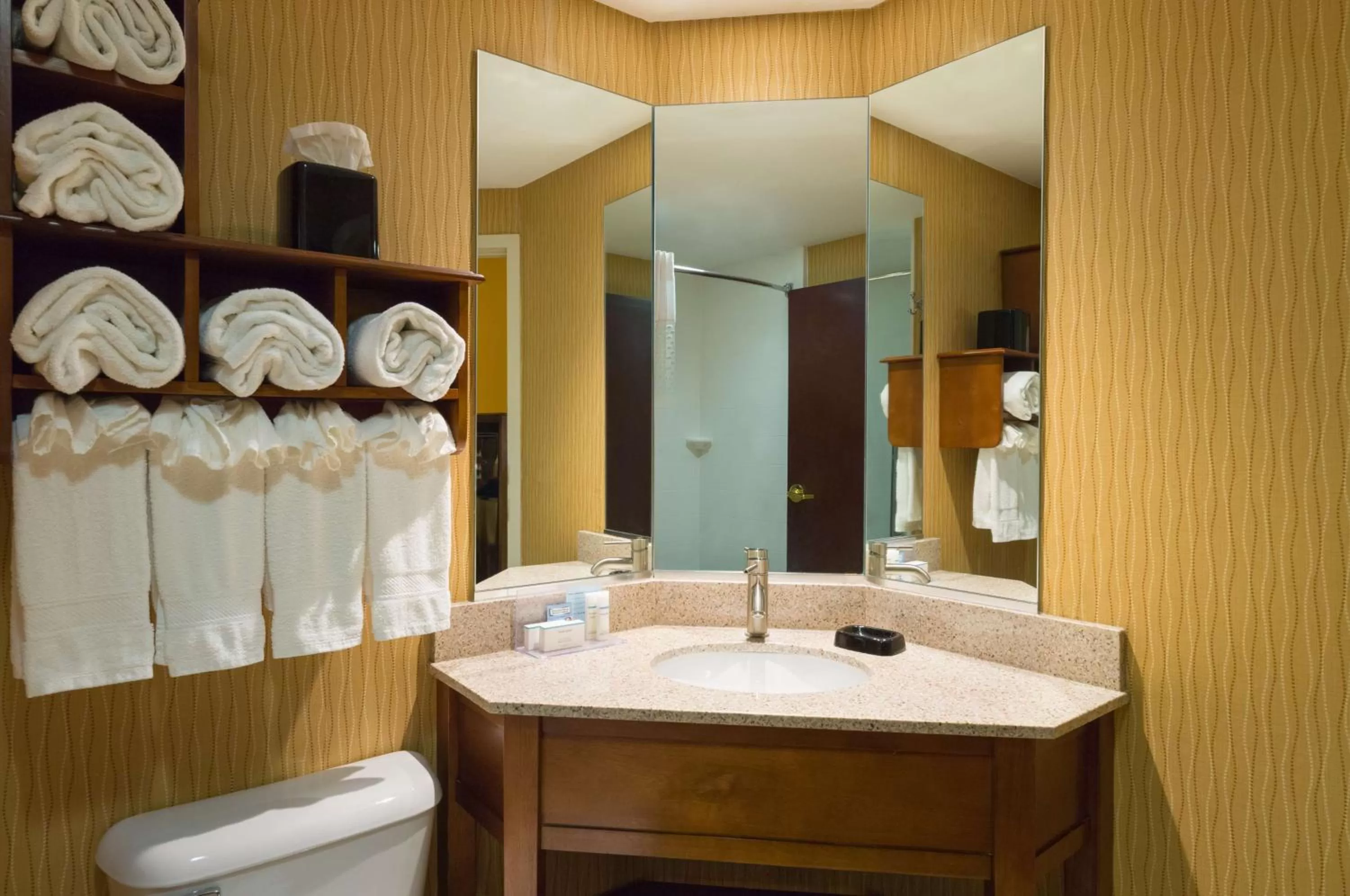 Bathroom in Hampton Inn Carlisle