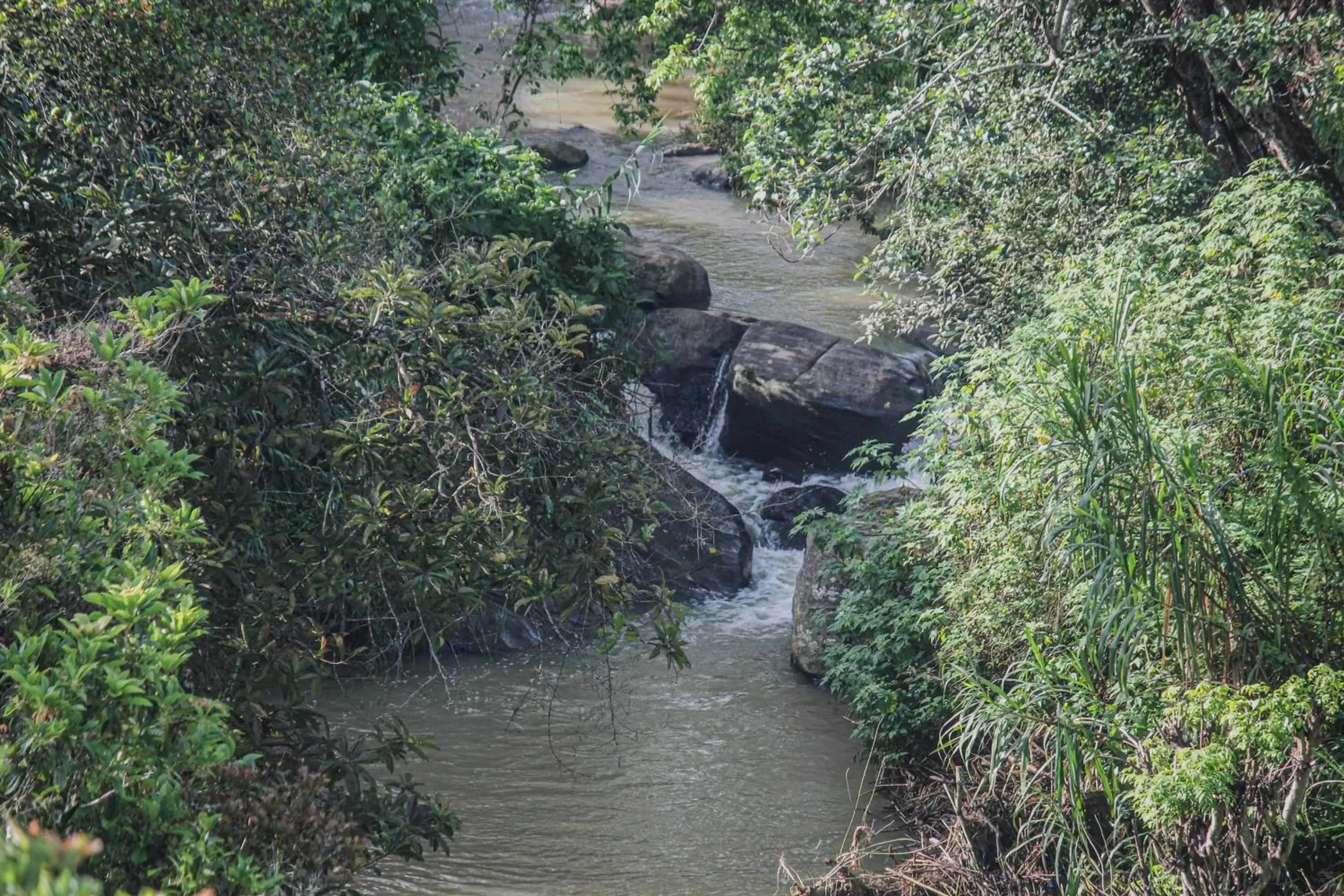 Natural landscape in Levon Boutique Hotel