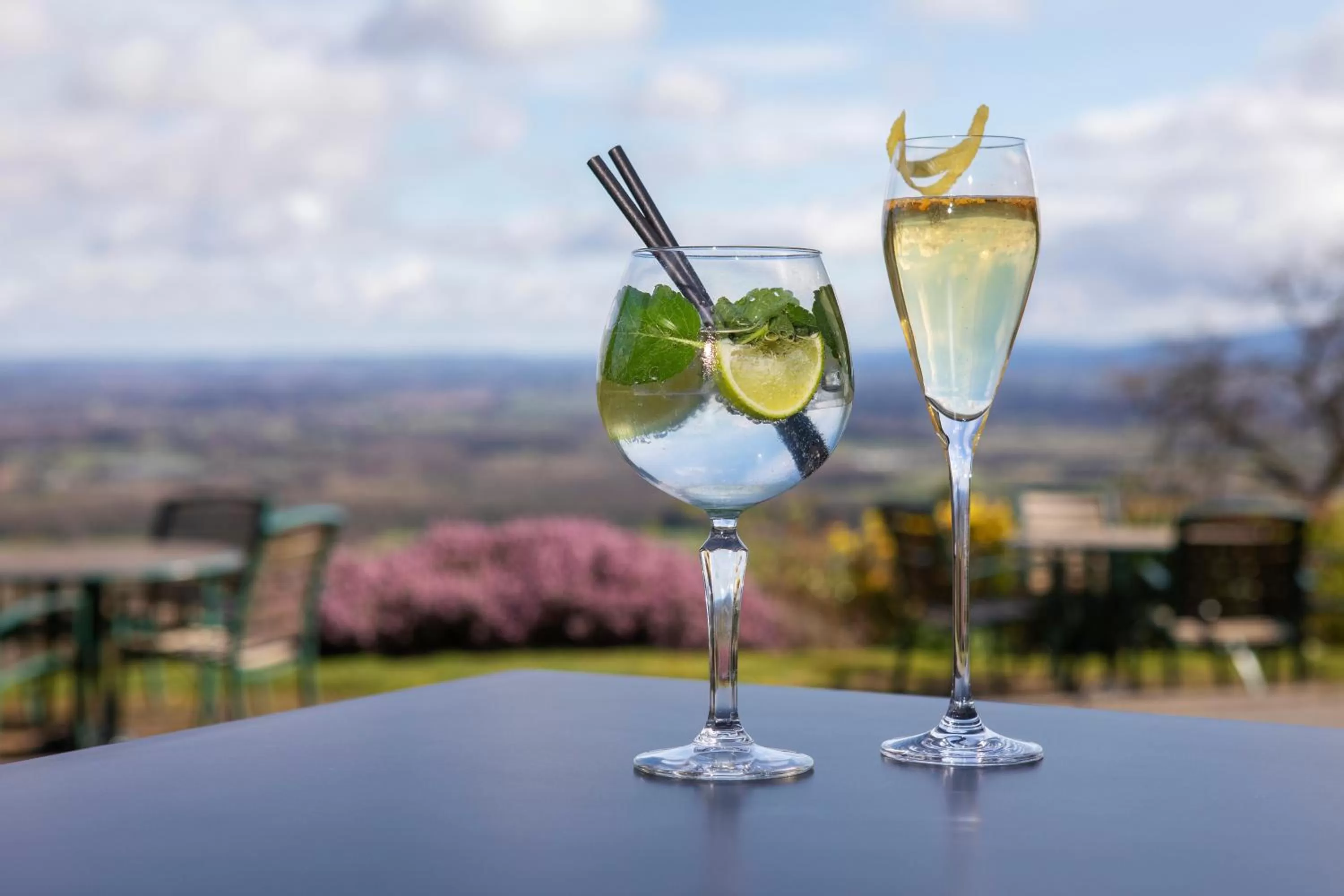 Alcoholic drinks in Cottage In The Wood