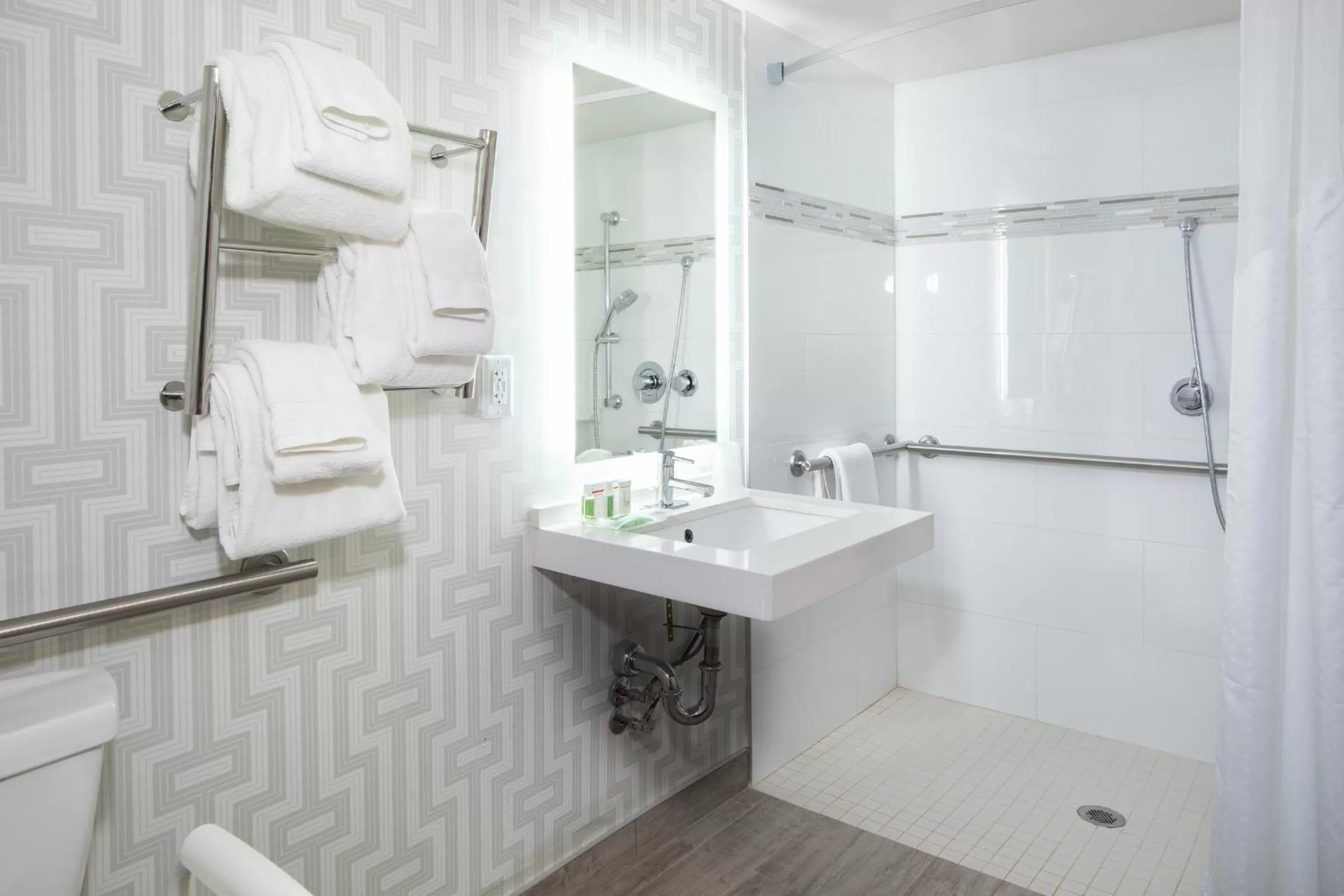 King Room - Mobility Access/Roll in Shower - Non-Smoking in Holiday Inn Washington-College Pk I-95