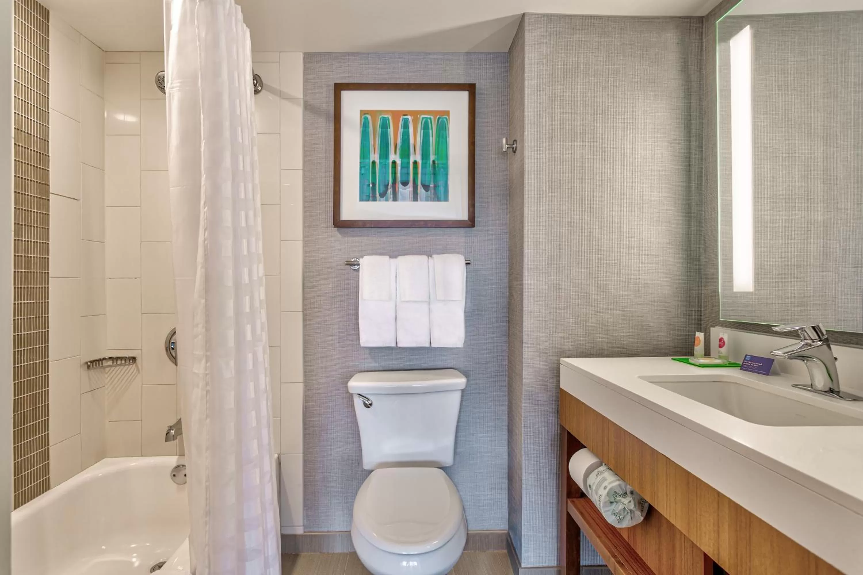 Toilet in Hyatt Place Minneapolis/Downtown