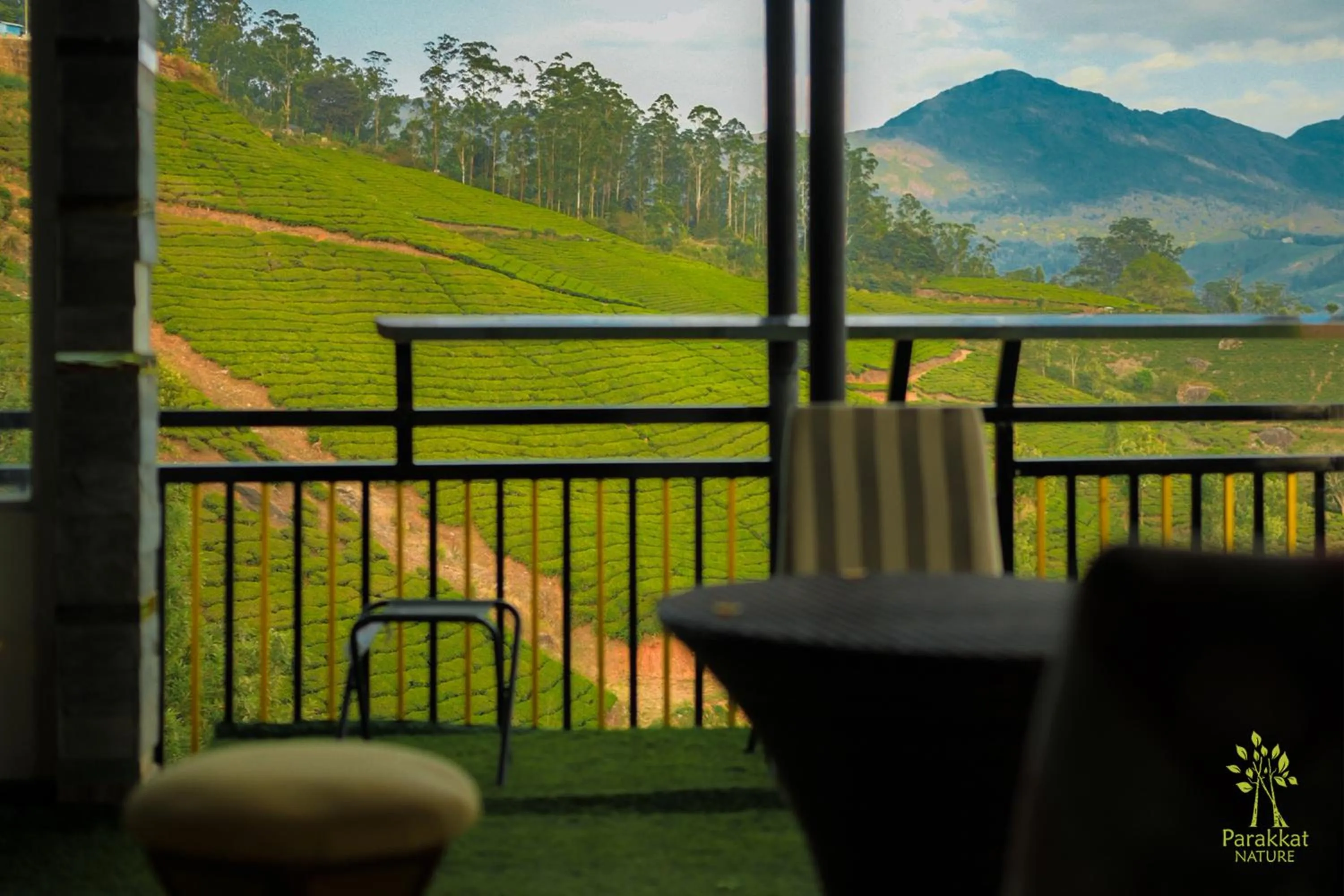 Mountain view in Parakkat Nature Resort