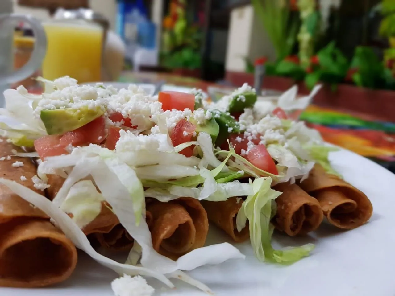 Food and drinks in Hotel Riviera