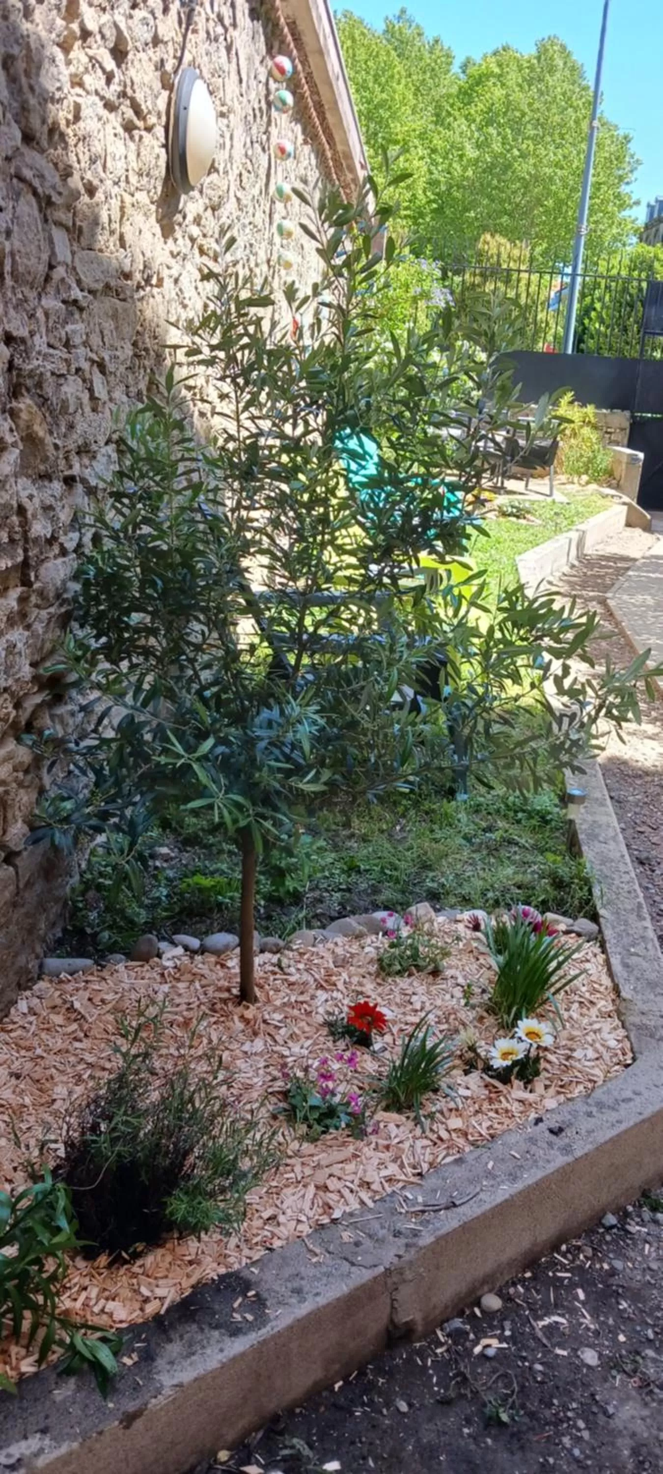 Le 9 de Cour, Chambre Chaco