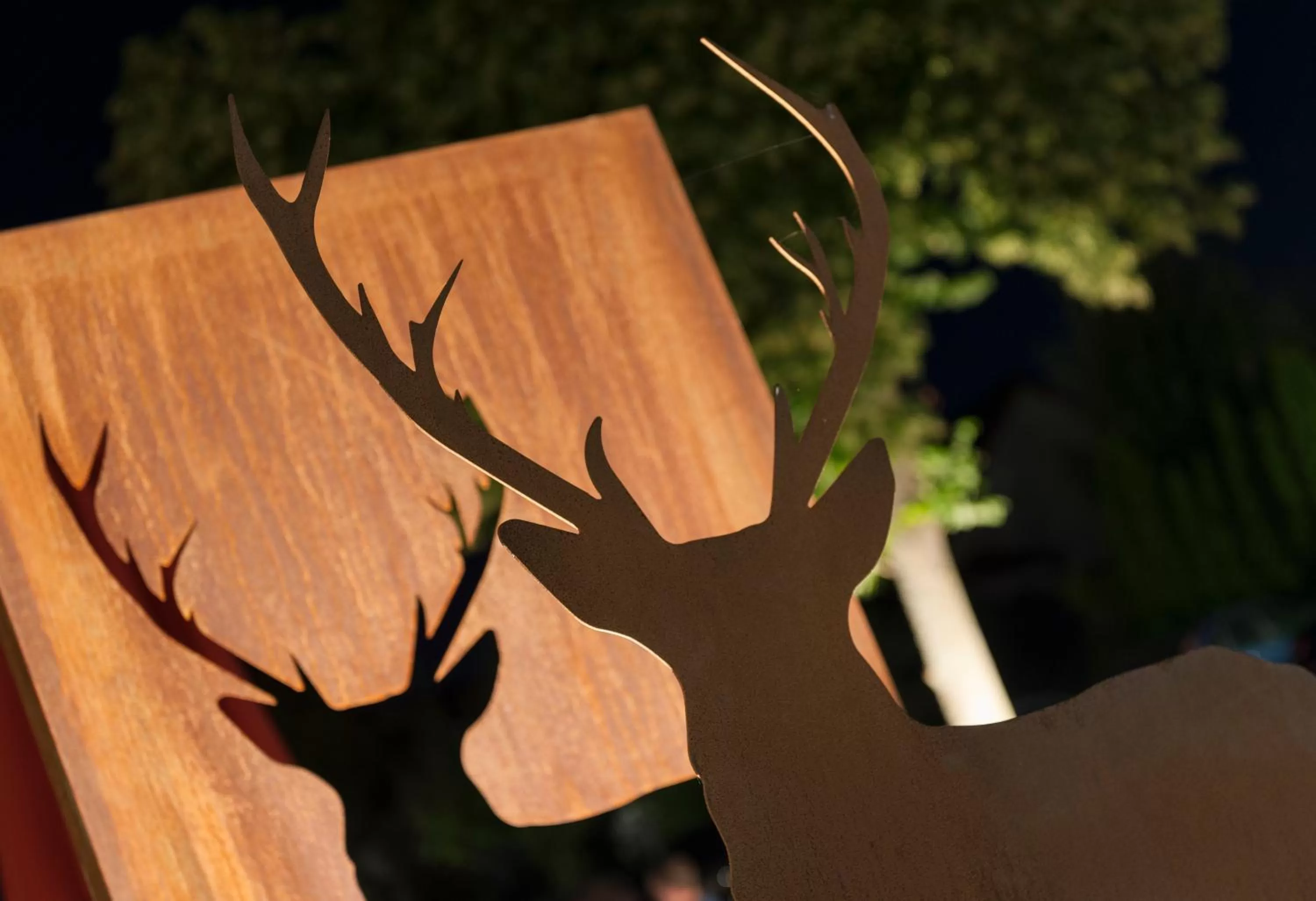 Property building in Hotel Schönbuch