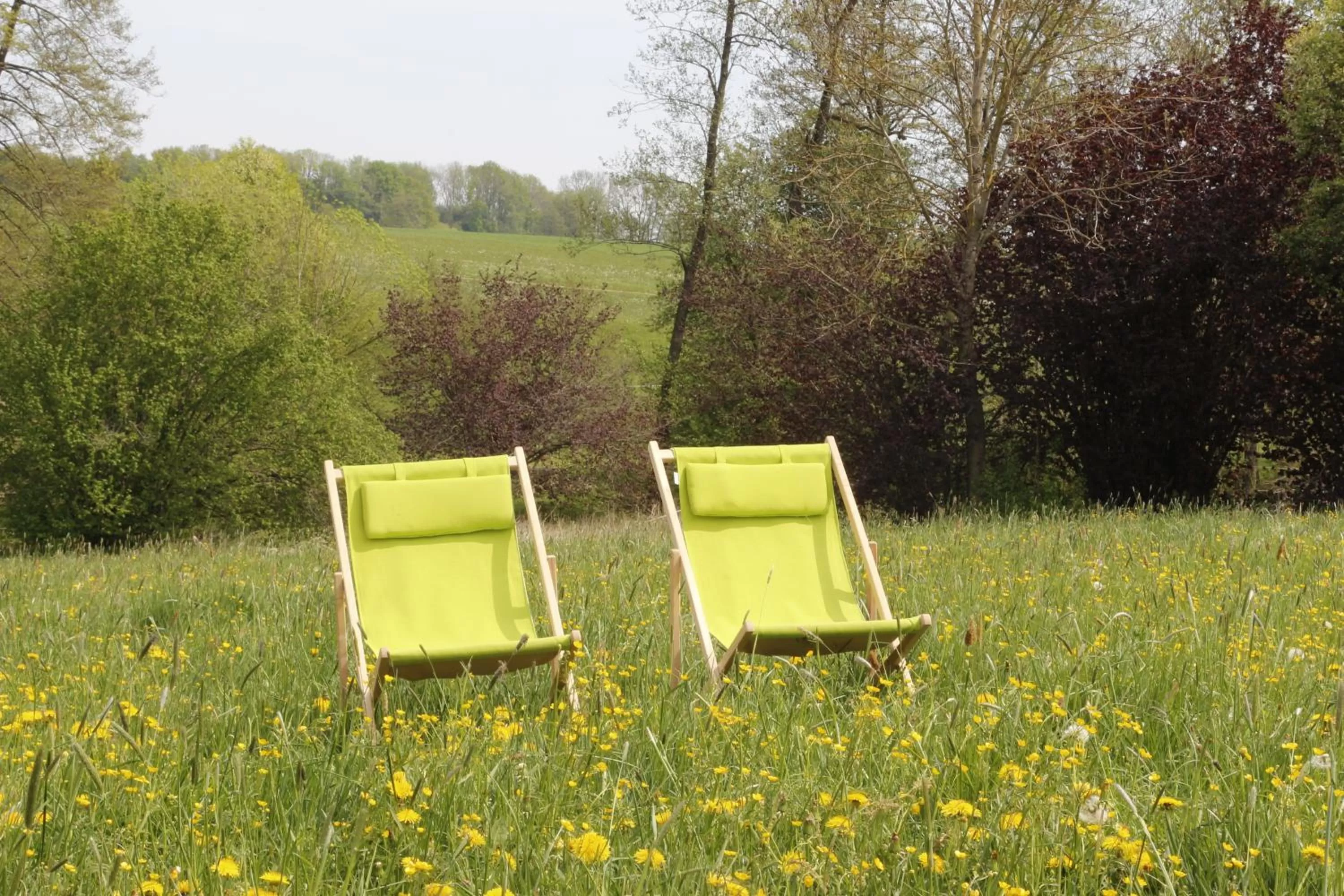 Garden in Gästehaus Zehmerhof bei Erding