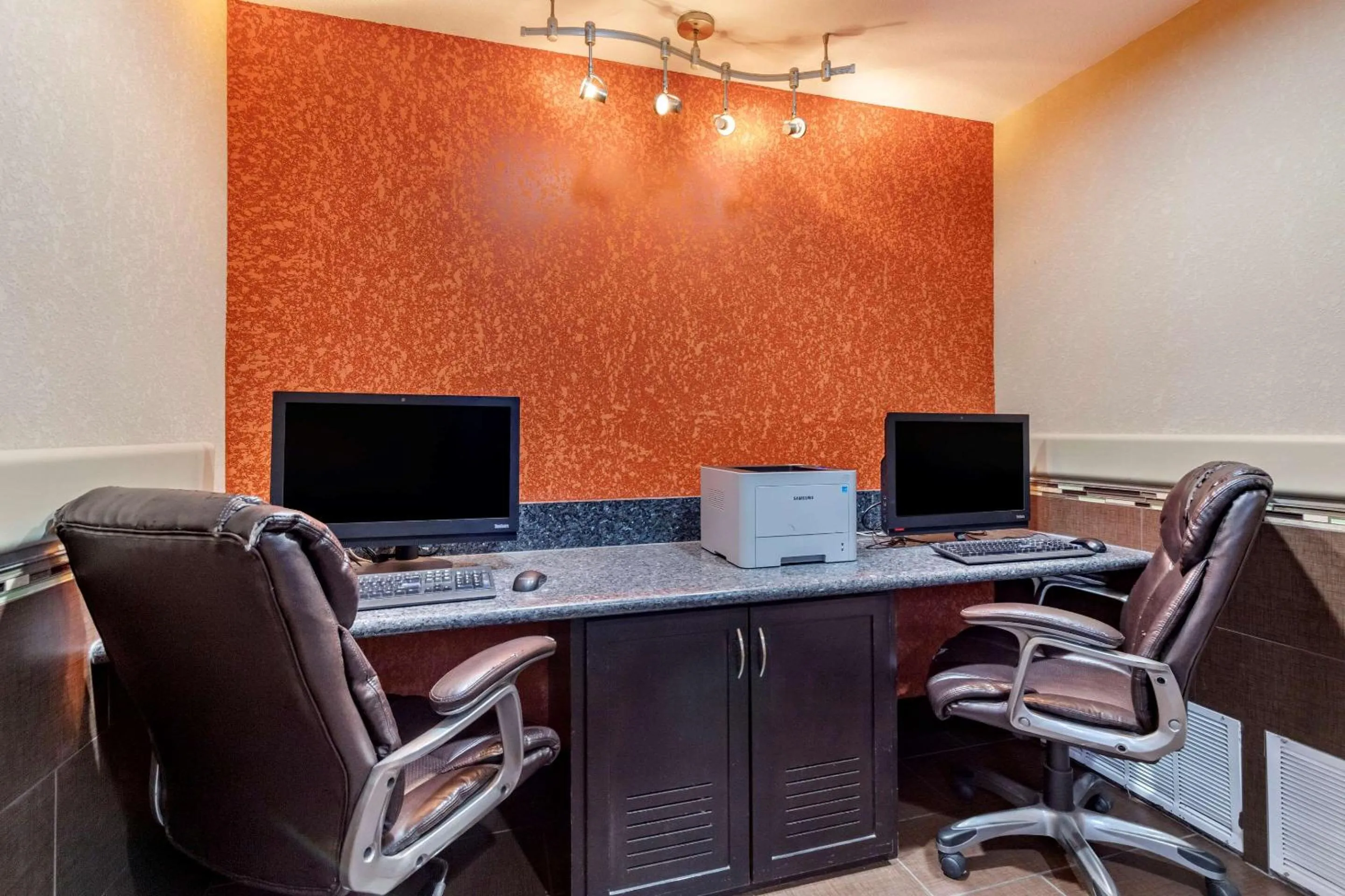 Business facilities in Comfort Suites Georgetown