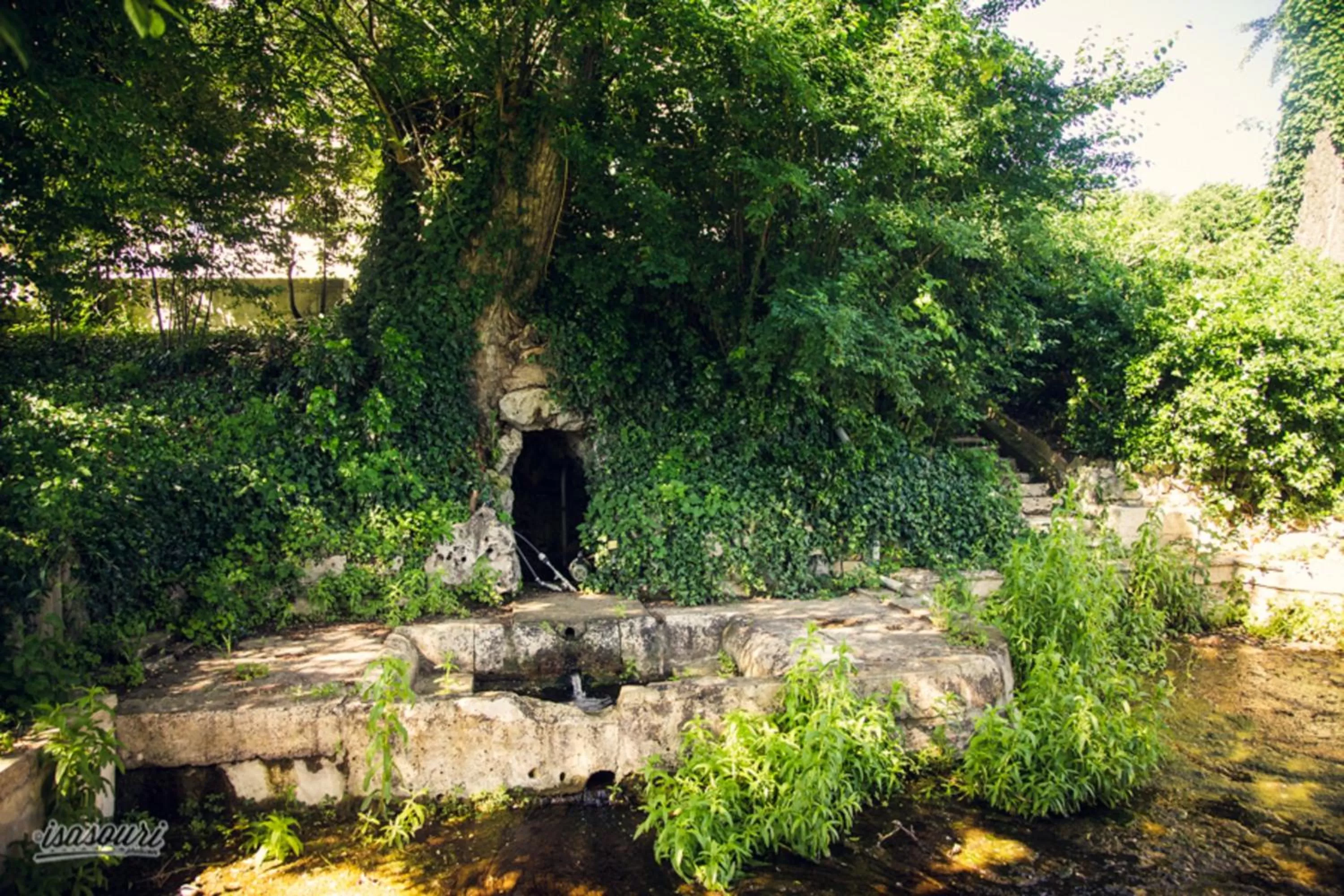 Garden in Logis Hotels - Château Saint Marcel