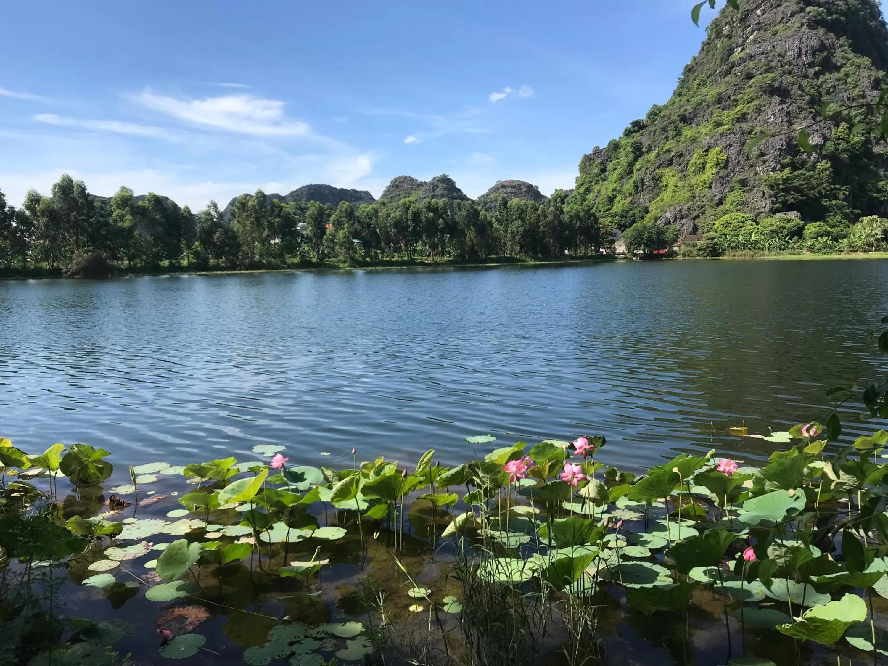 Natural landscape in Trang An Lotus Lake Homestay