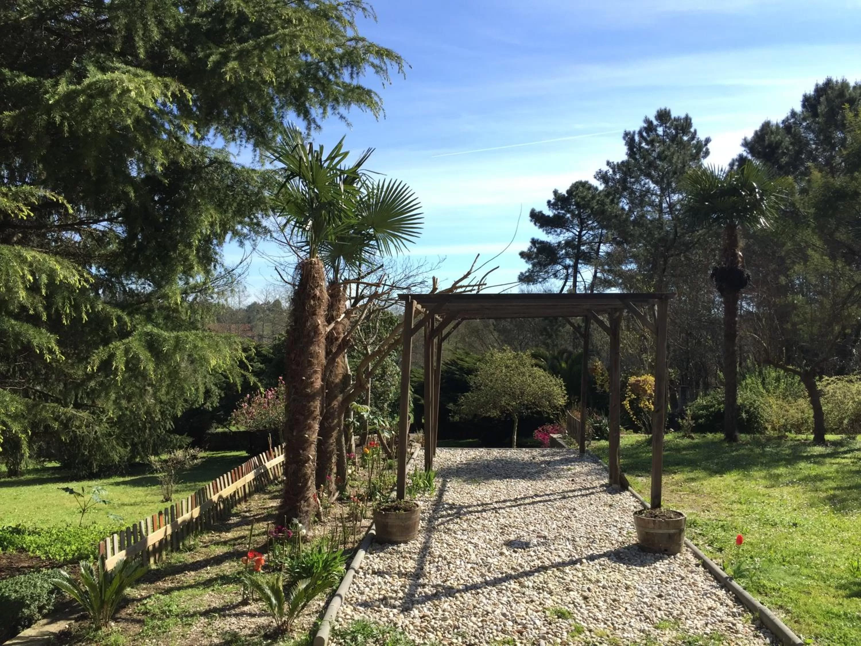 Garden view in Agro da Gandarela