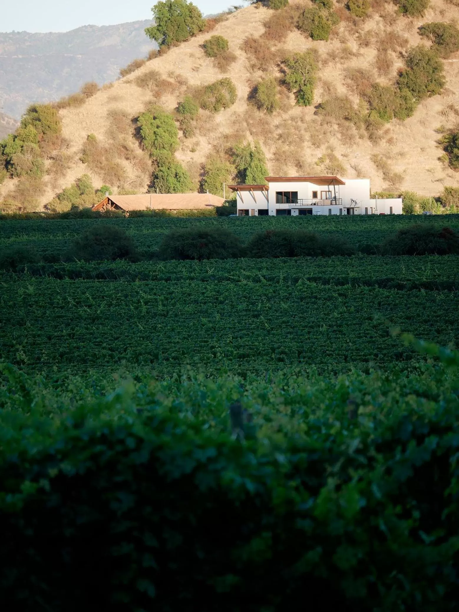 Property building in Callihue Lodge