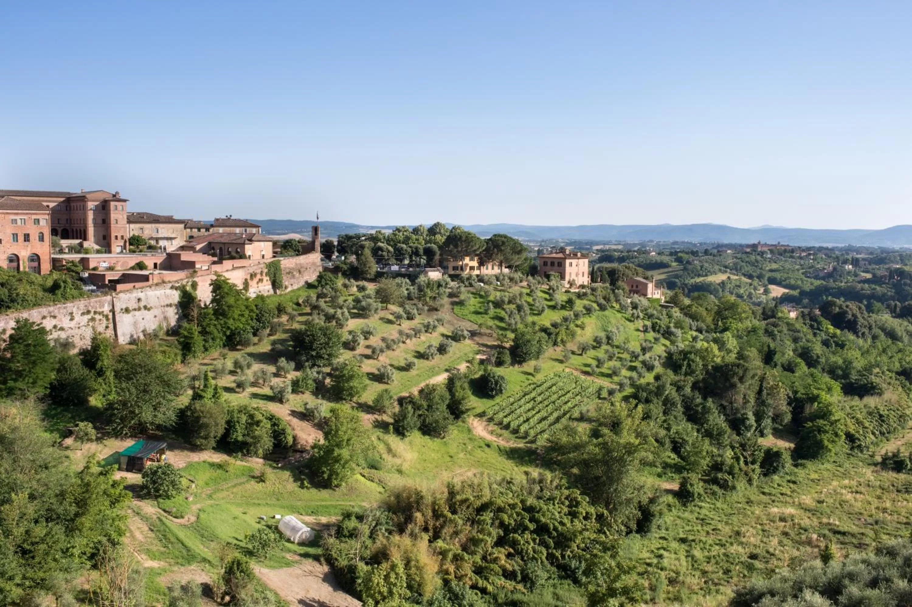 View (from property/room) in Hotel Athena