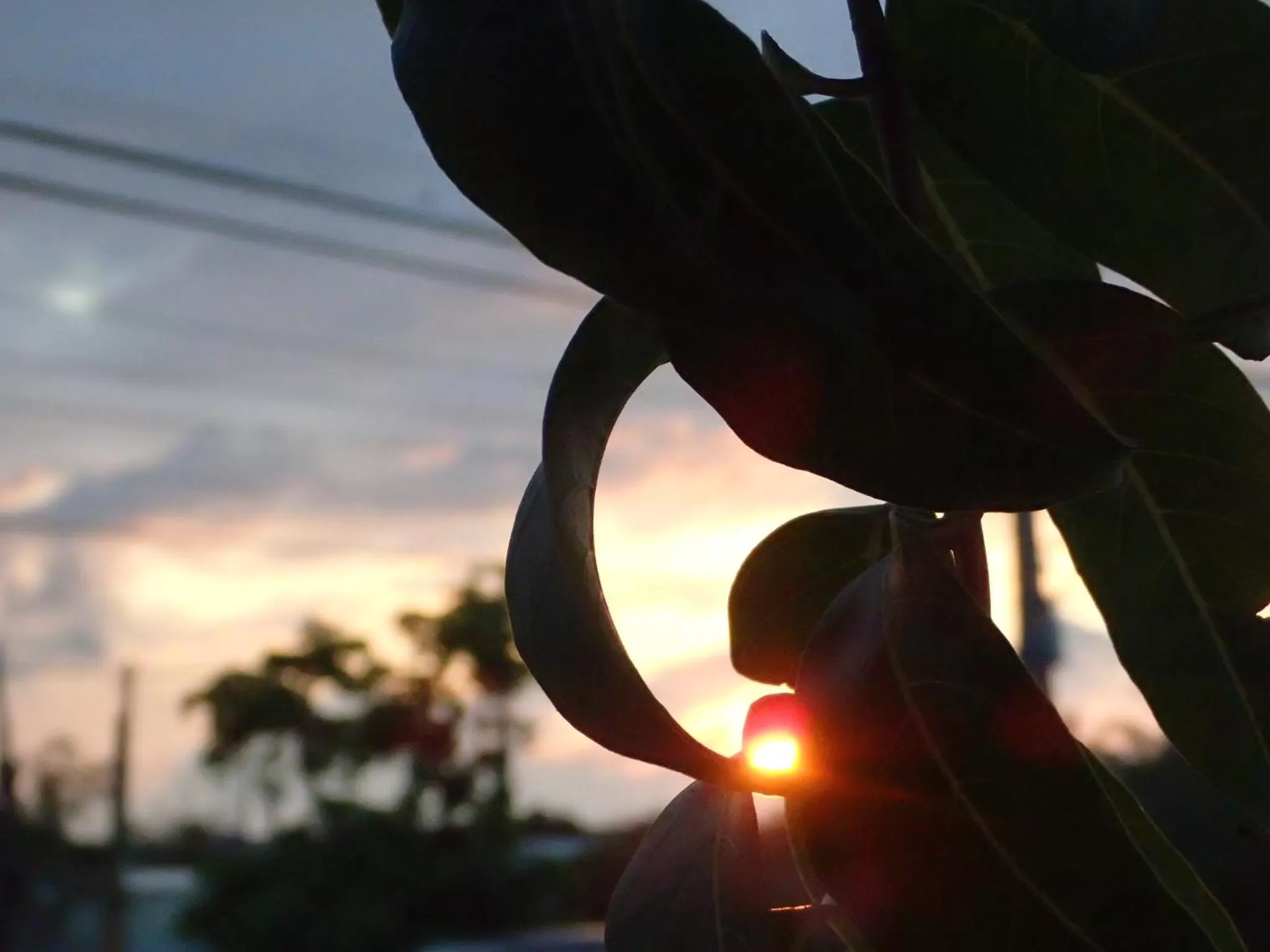 Garden view in Chillax Inn B&B