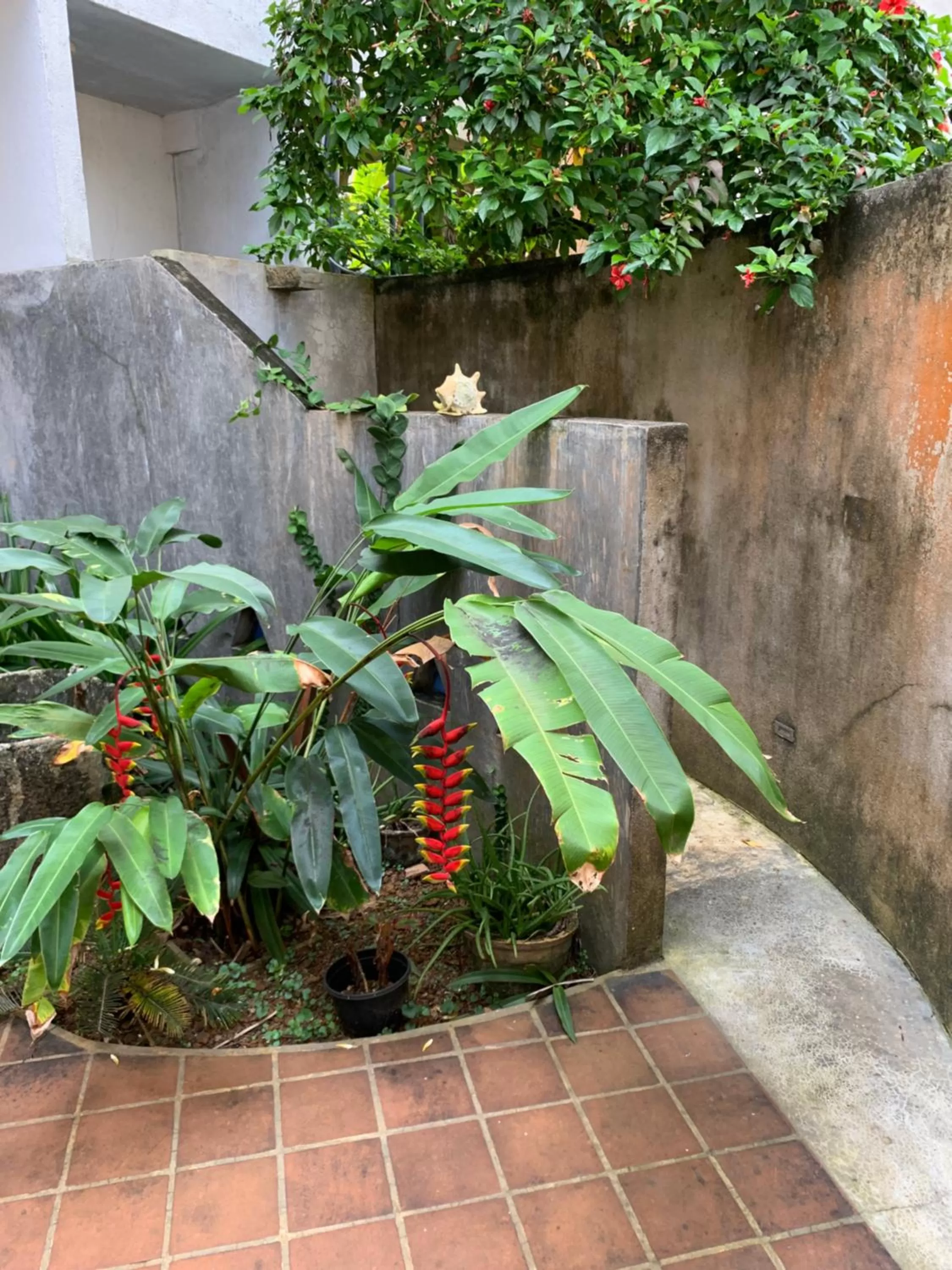 Shower in Galawatta Beach Resort