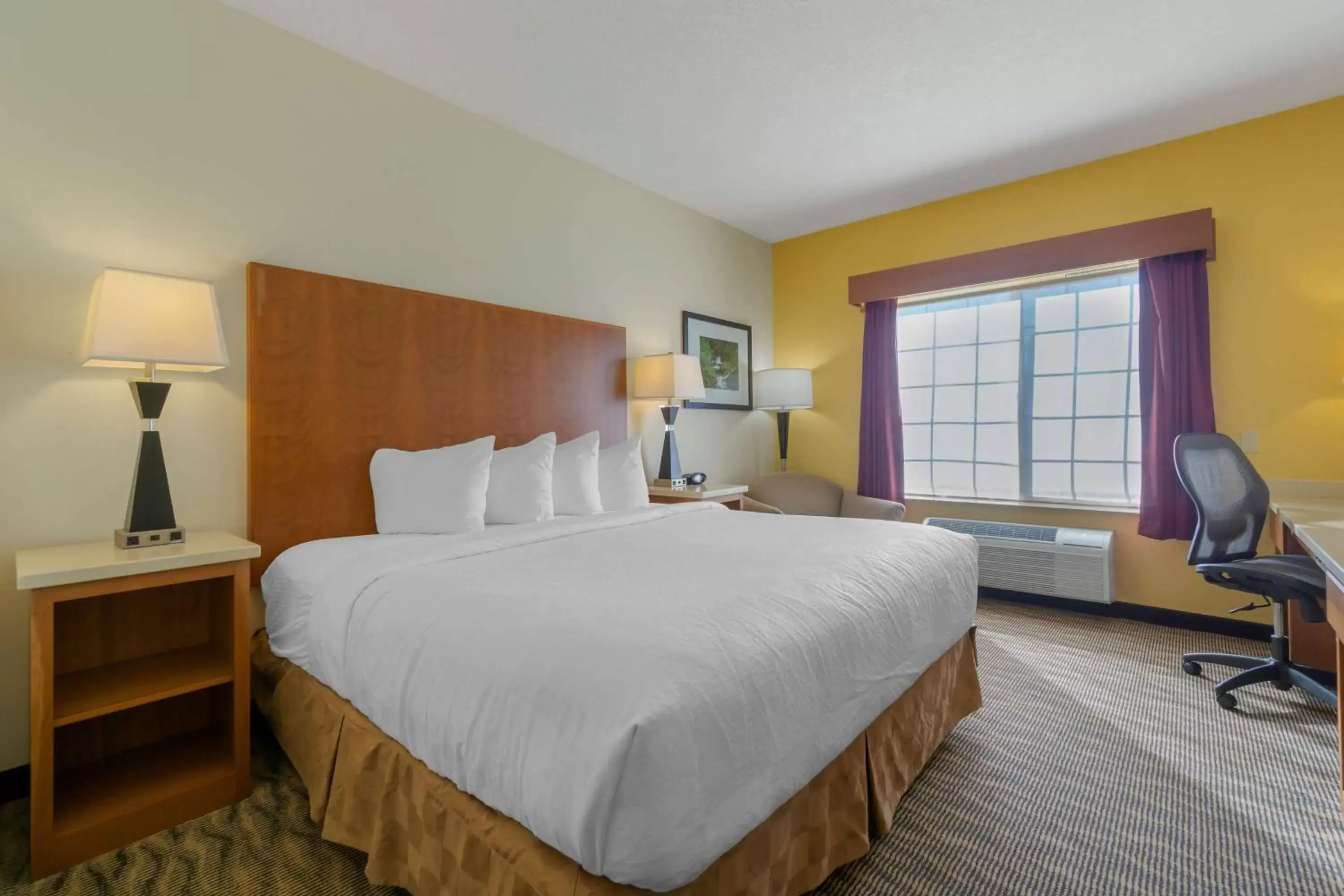 King Room - Disability Access in Best Western Plus Park Place Inn & Suites King Room - Disability Access in Best Western Plus Park Place Inn & Suites