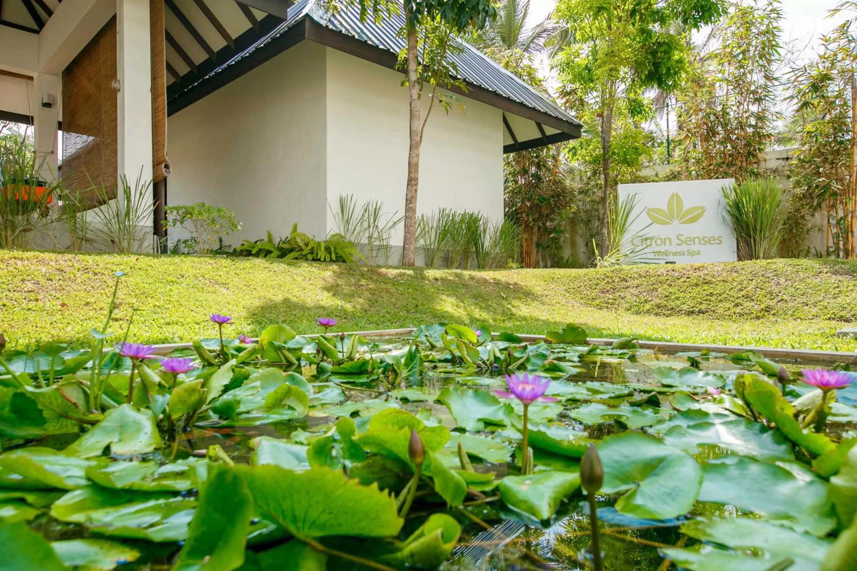 Garden in Citrus Waskaduwa
