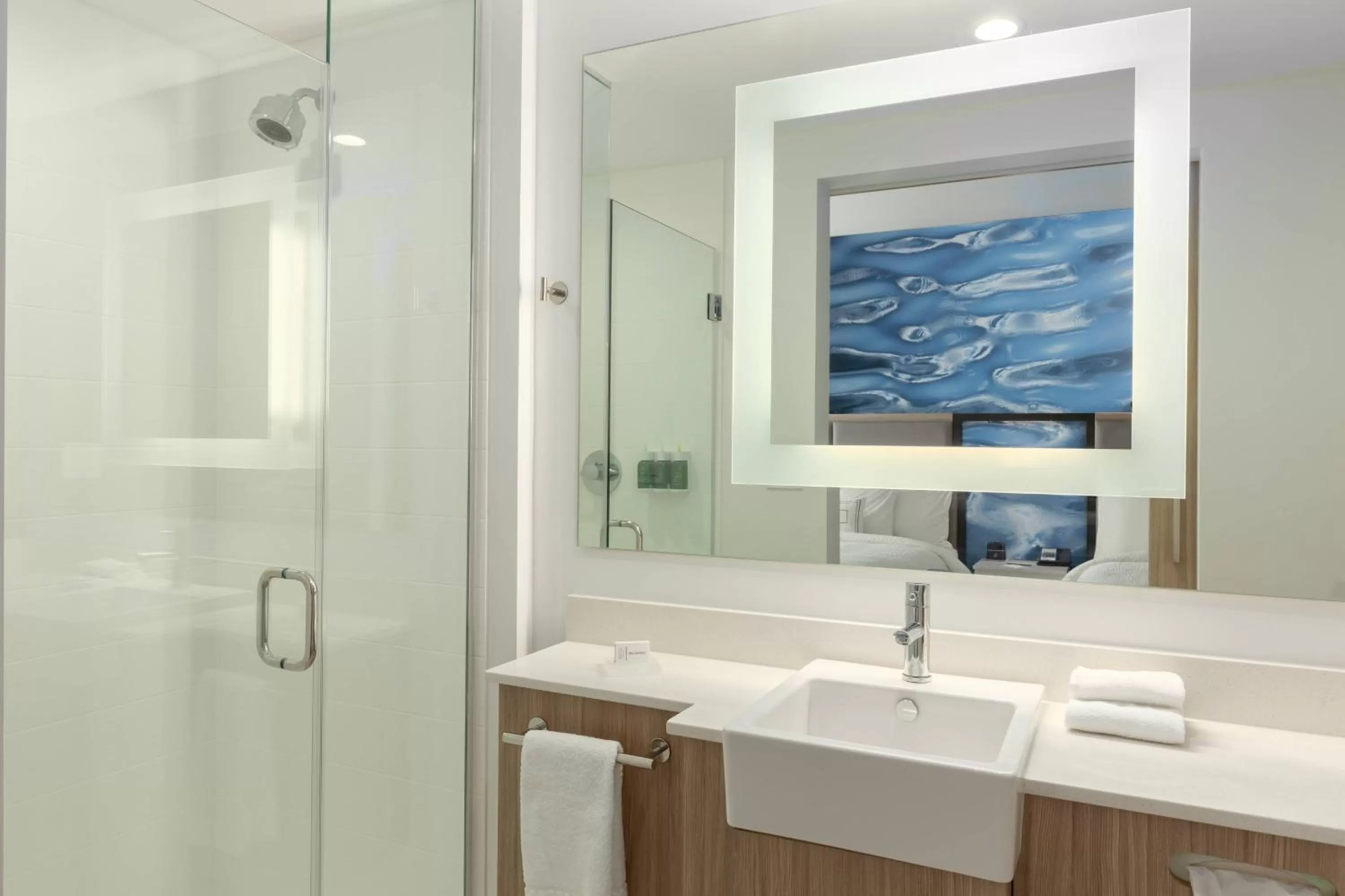 Bathroom in SpringHill Suites by Marriott Bradenton Downtown/Riverfront