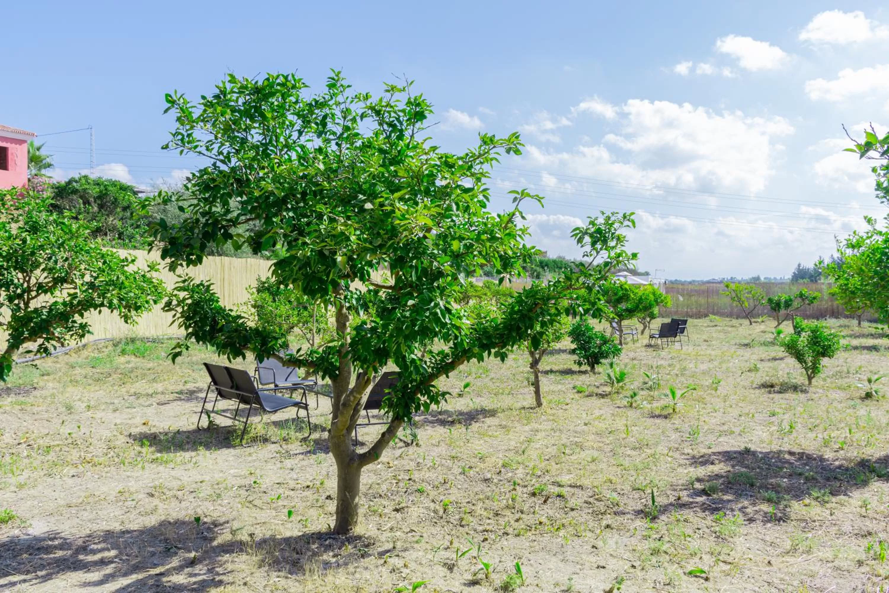 Garden in B&B Casa de Ámbar