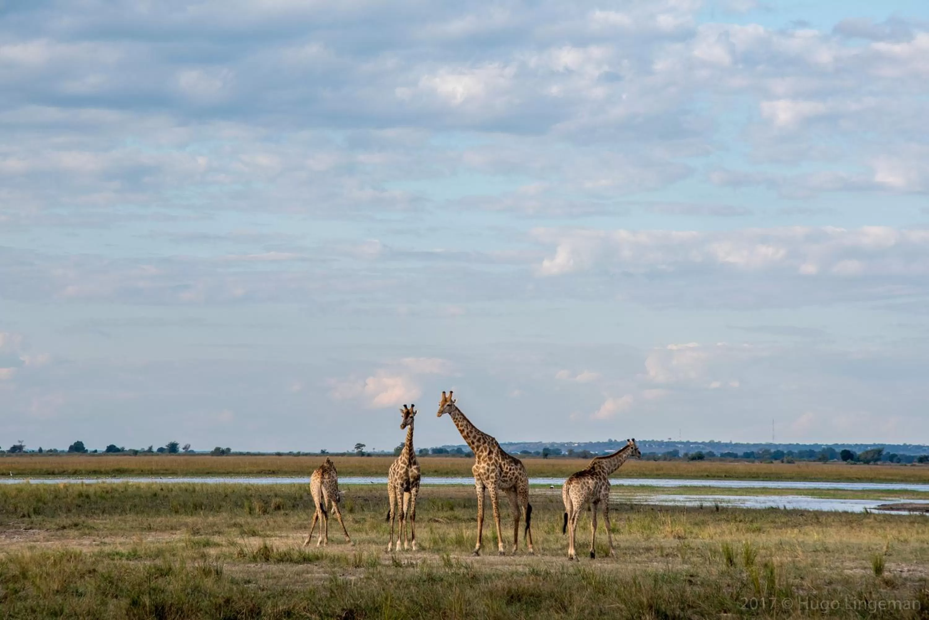 Nearby landmark in Okavango Lodge