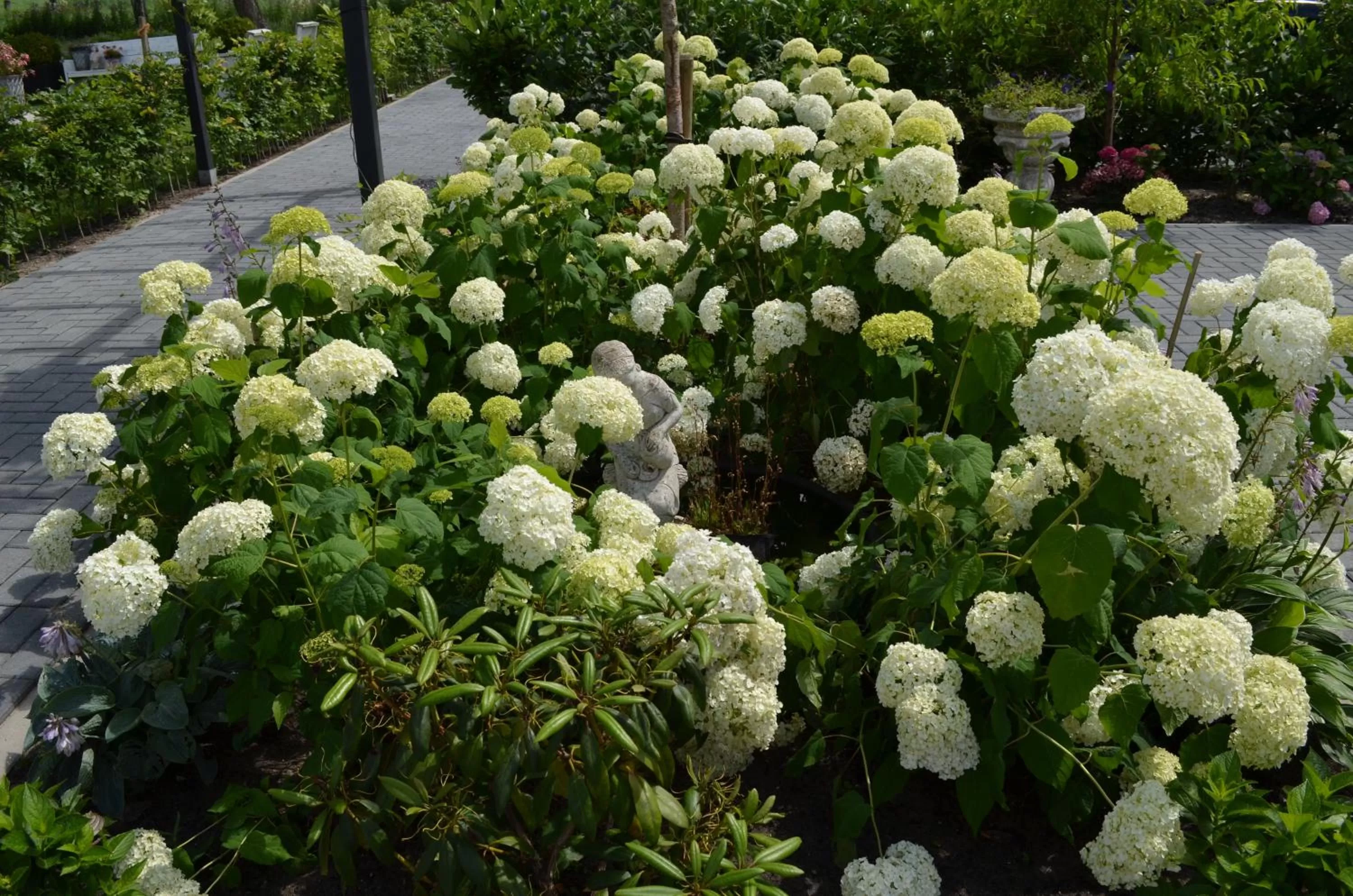 B&B “de Boerlarij”