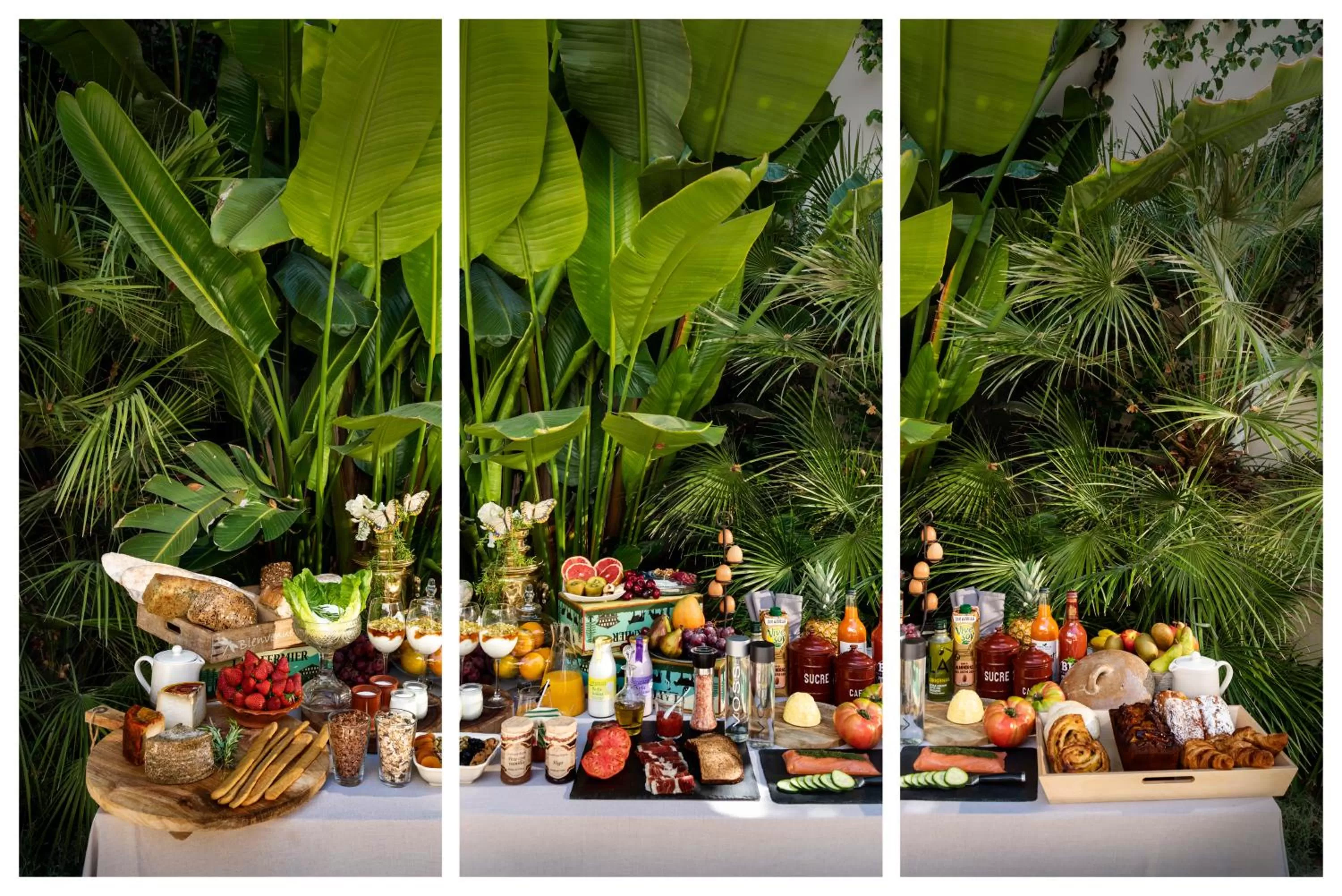 Breakfast in Pájaro Rebelde