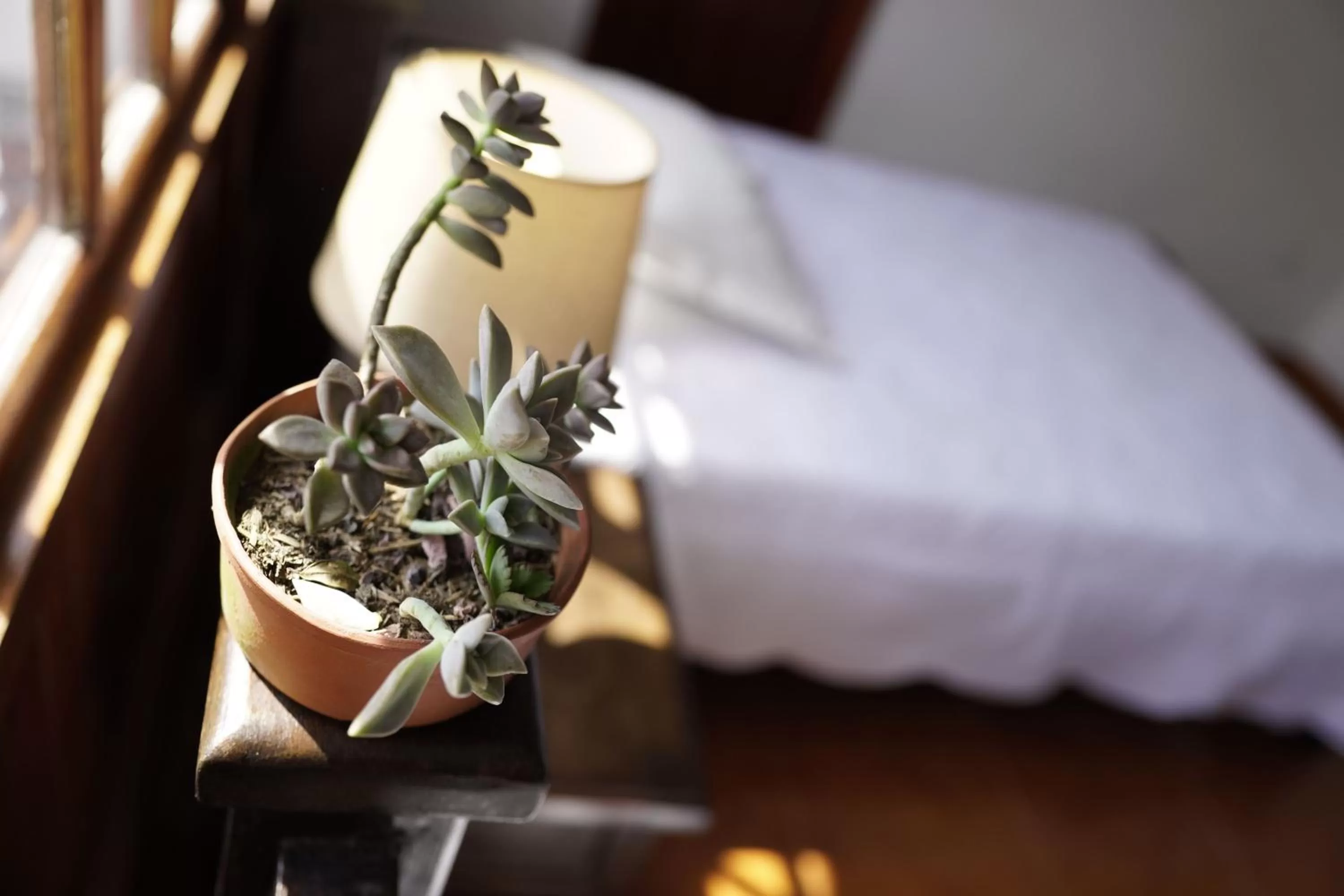 Bedroom, Bed in Hotel Chalet El Castillo by Majuva