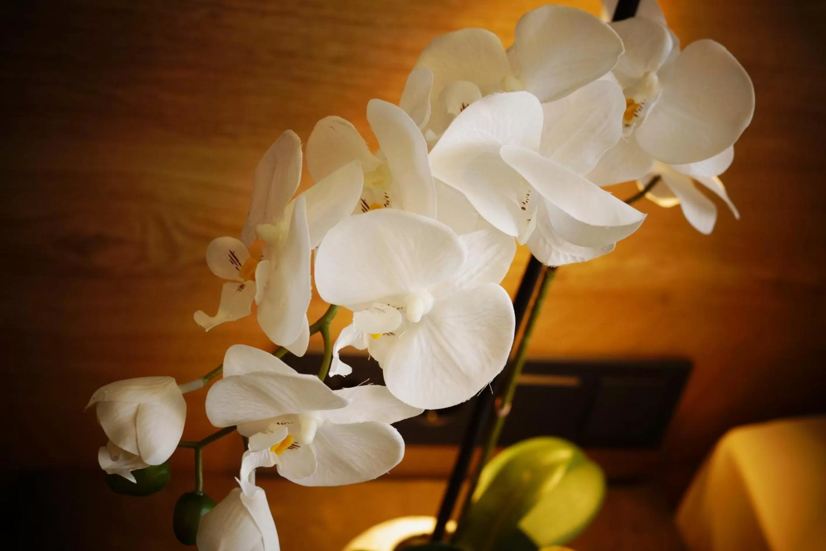 Decorative detail in Hotel Peterhof