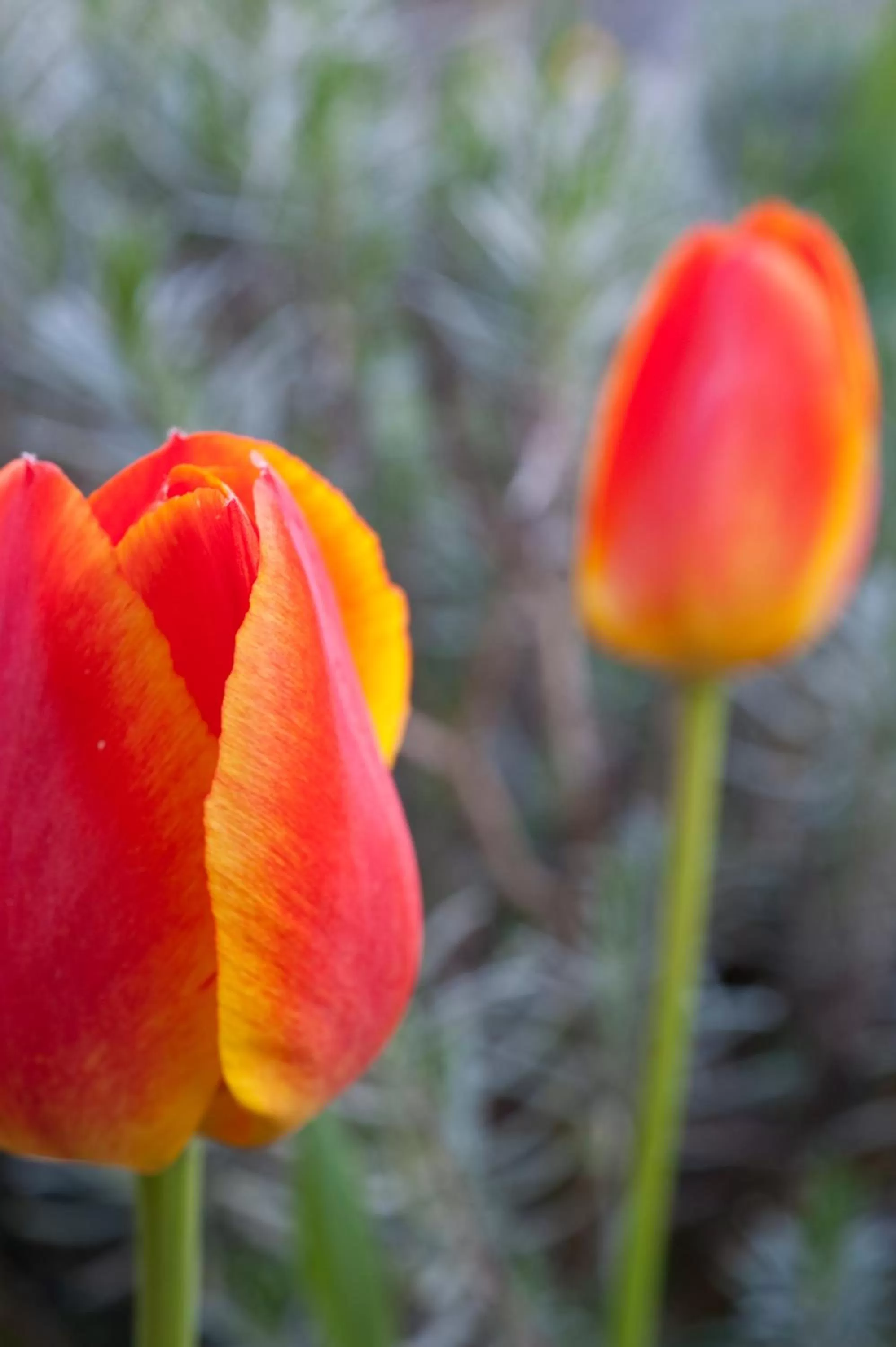 Spring in Hotel Lechnerhof Unterföhring