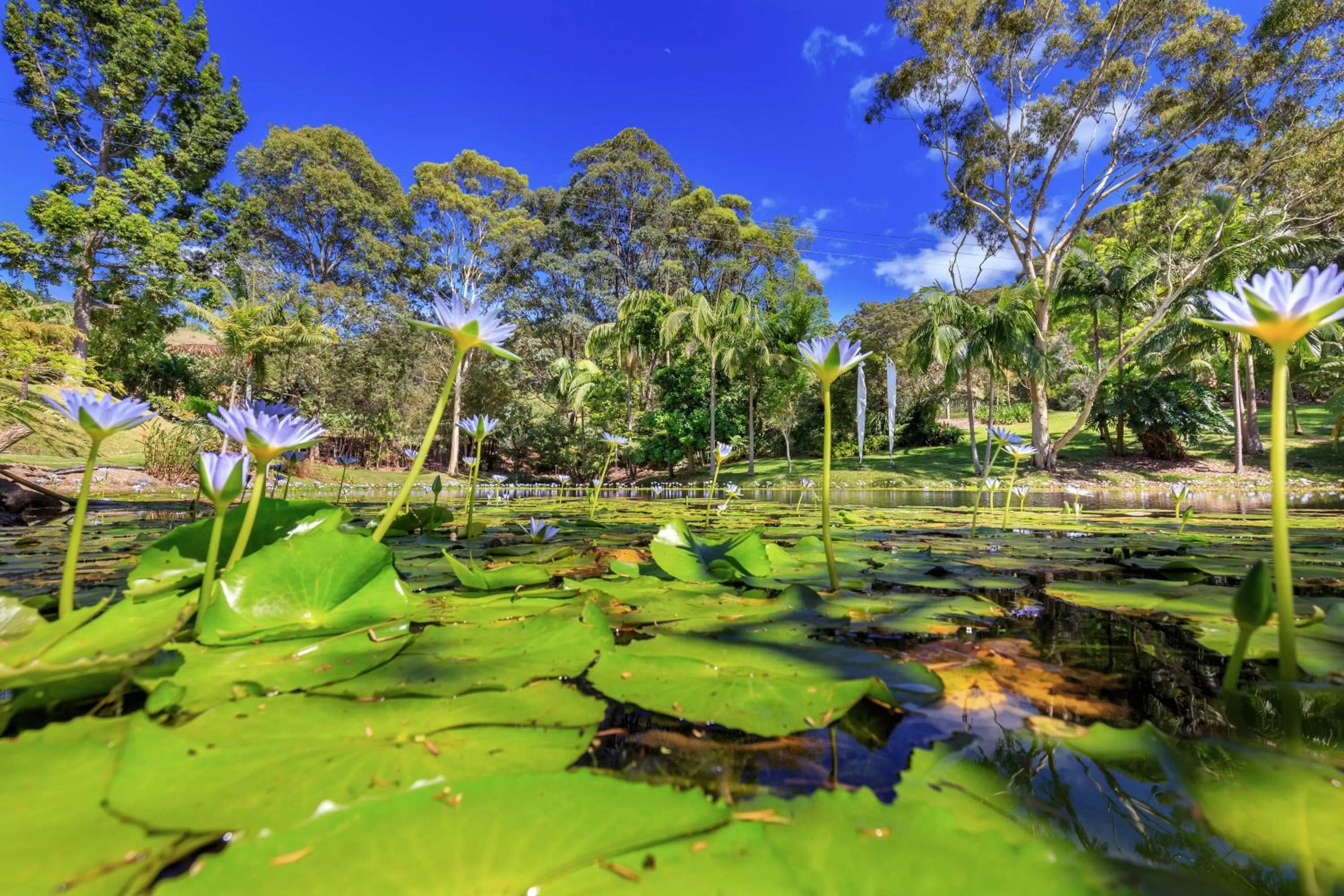 Lake view in Sensom at Sapphire - Adults only B&B