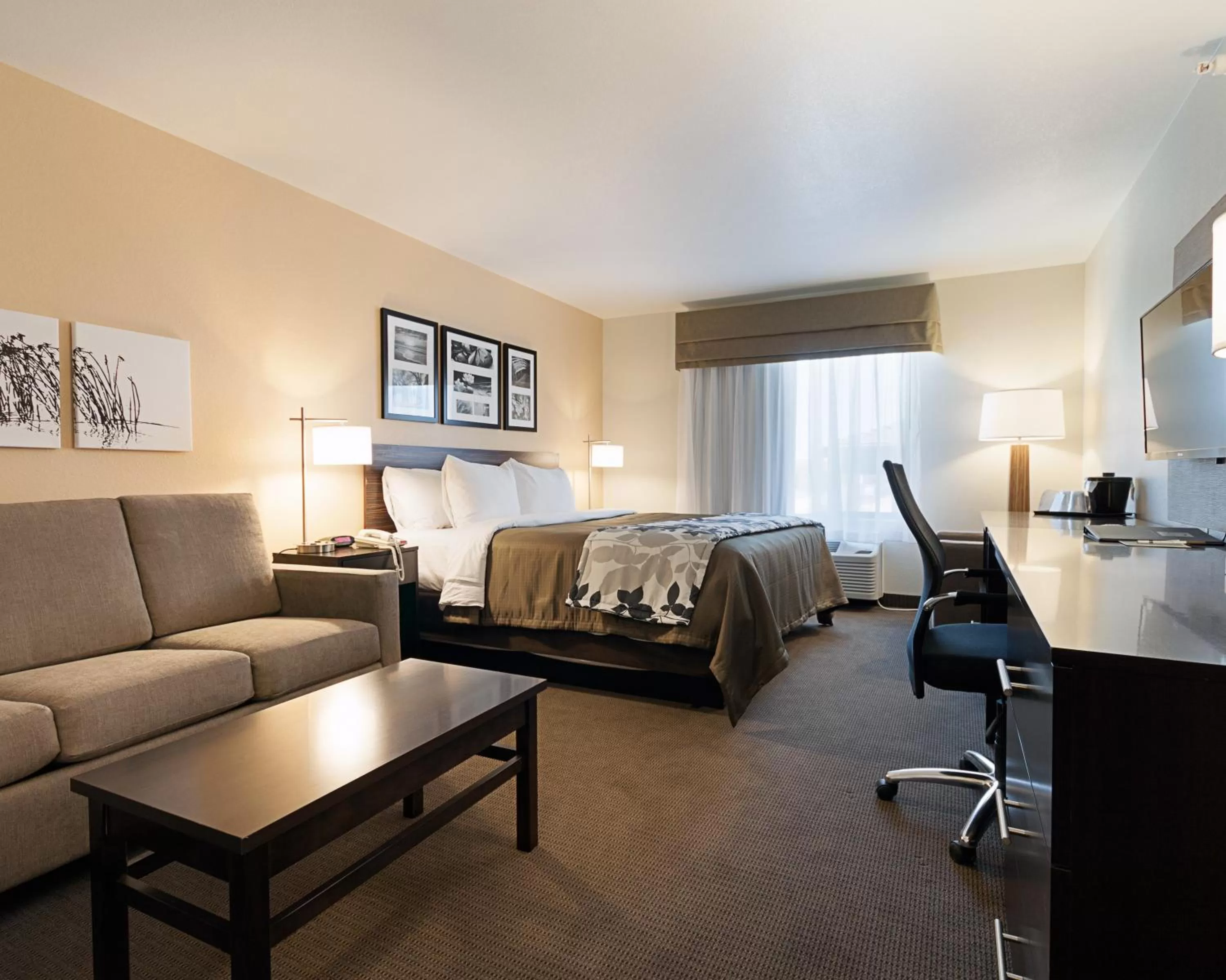 Bed in Sleep Inn & Suites Carlsbad Caverns Area